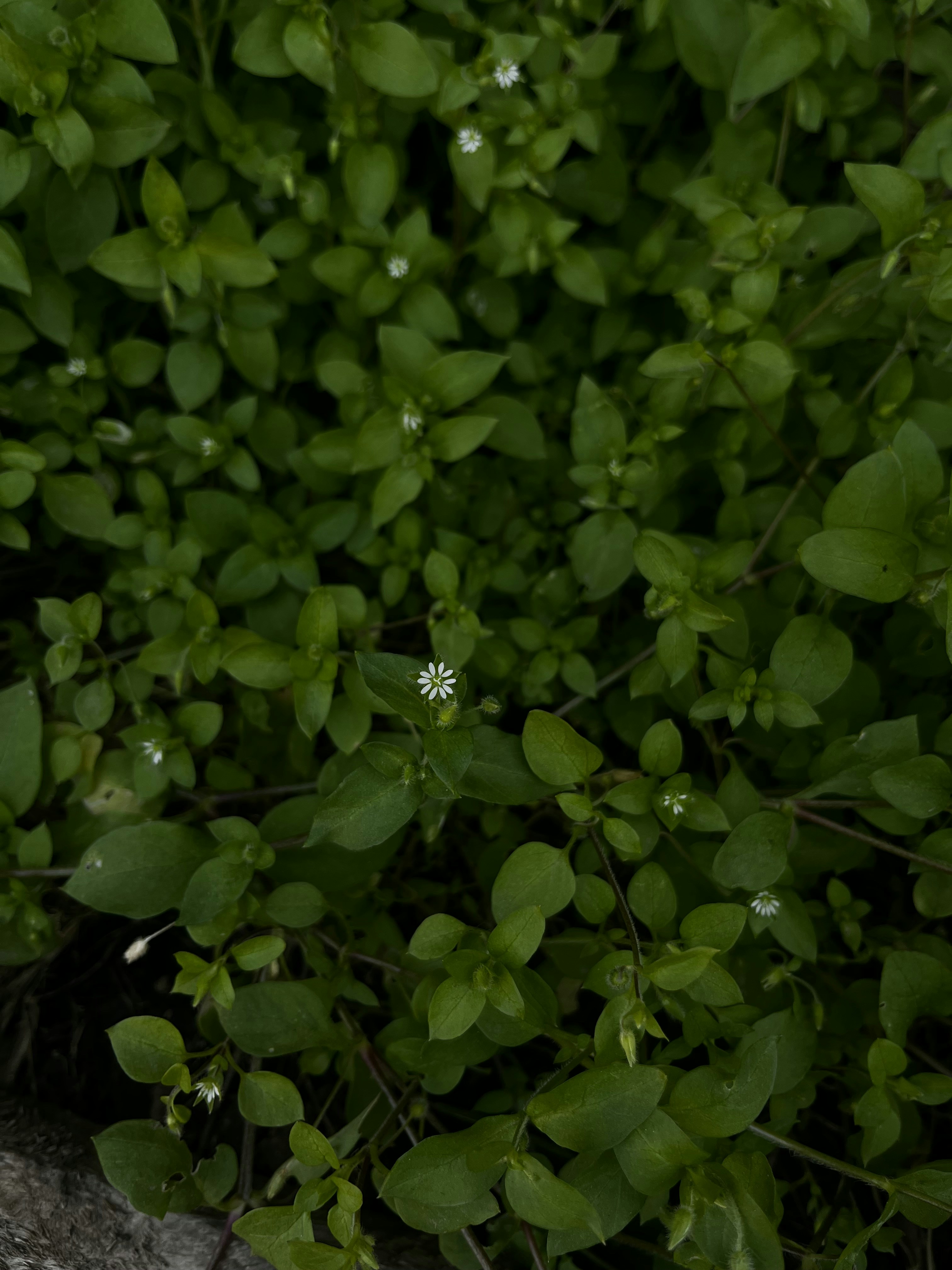 Photo by ariunzul_na