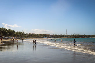 people on the beach