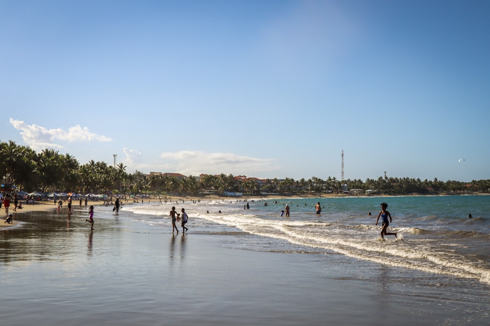 people on the beach