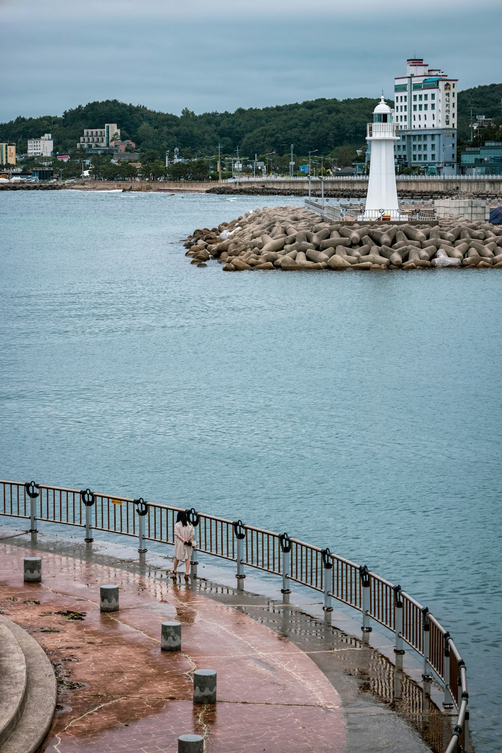 a person standing on a dock by a body of water with a lighthouse in the background