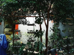 A lush garden scene with vertical planters suspended from beams, surrounded by leafy green plants and trees. A person wearing a blue garment stands on the left side, partially visible among the foliage. Brightly colored walls in the background contrast with the greenery around.