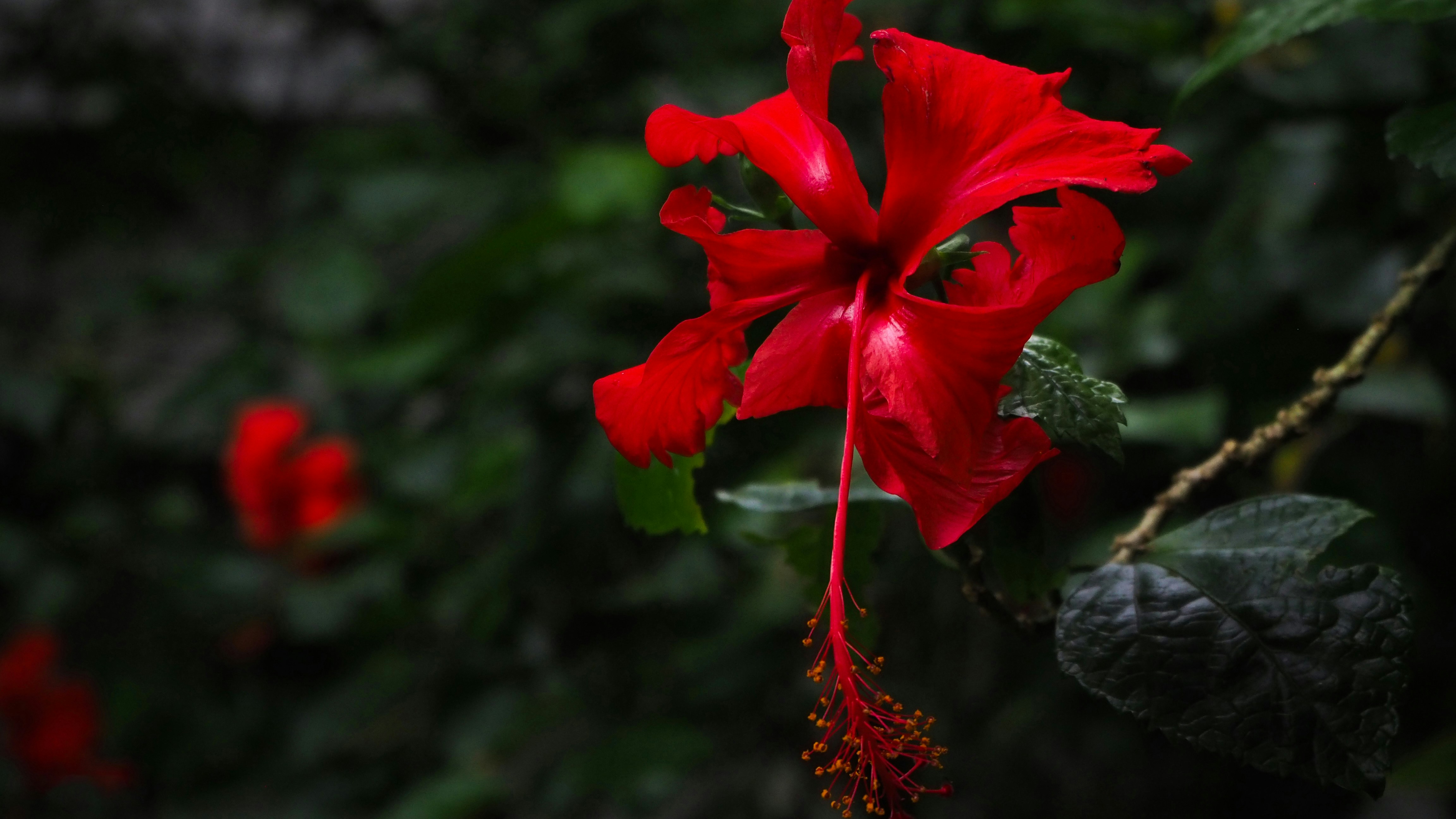 Photo by rahul_pillai