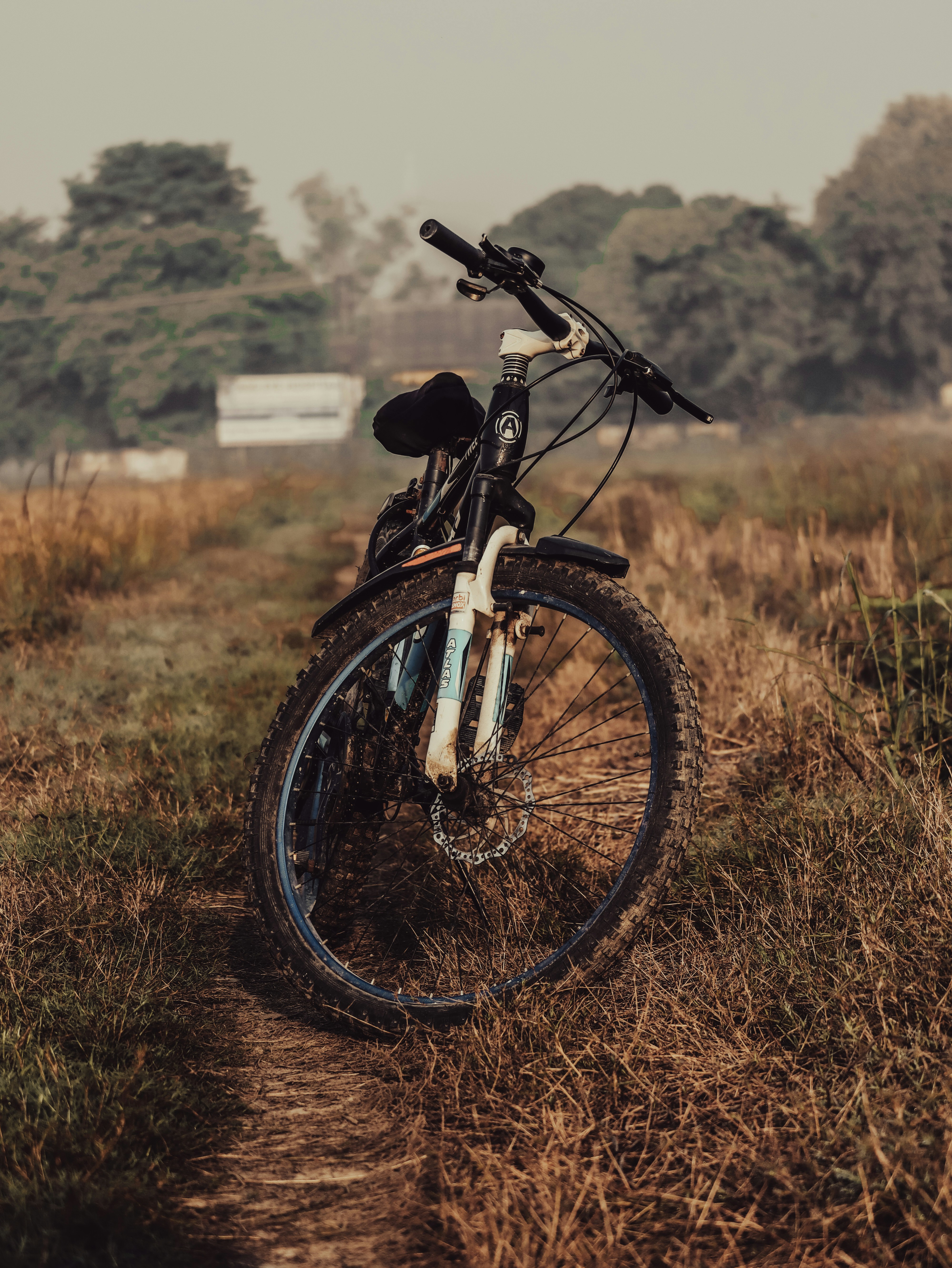 Photo by brajendra_lens_a_lot_