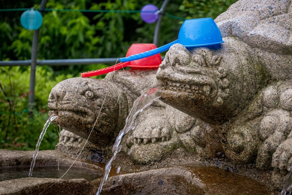 a lizard drinking water from a fountain