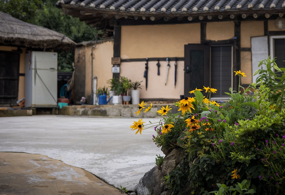 a group of flowers in front of a building