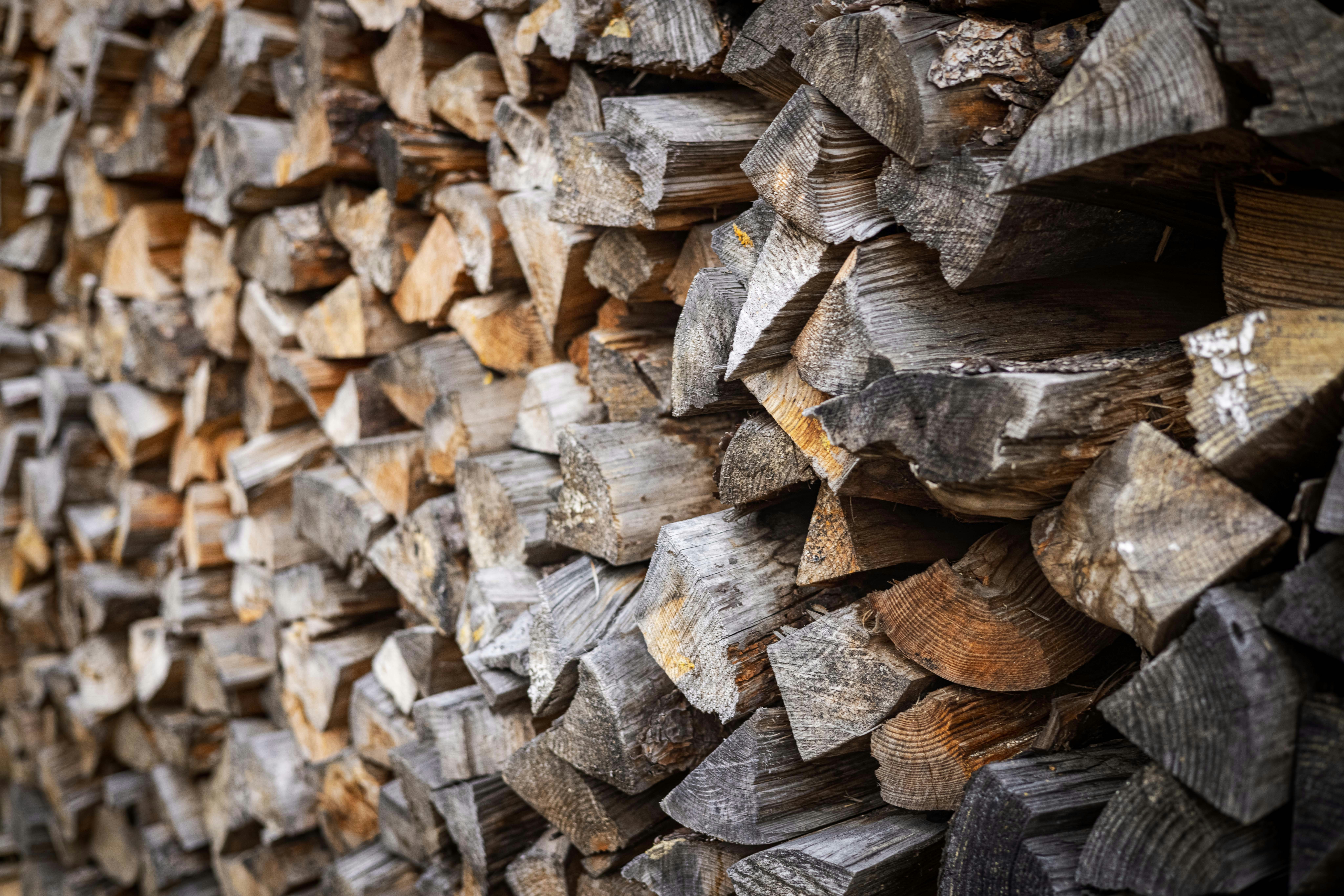 Photo by photosofkorea