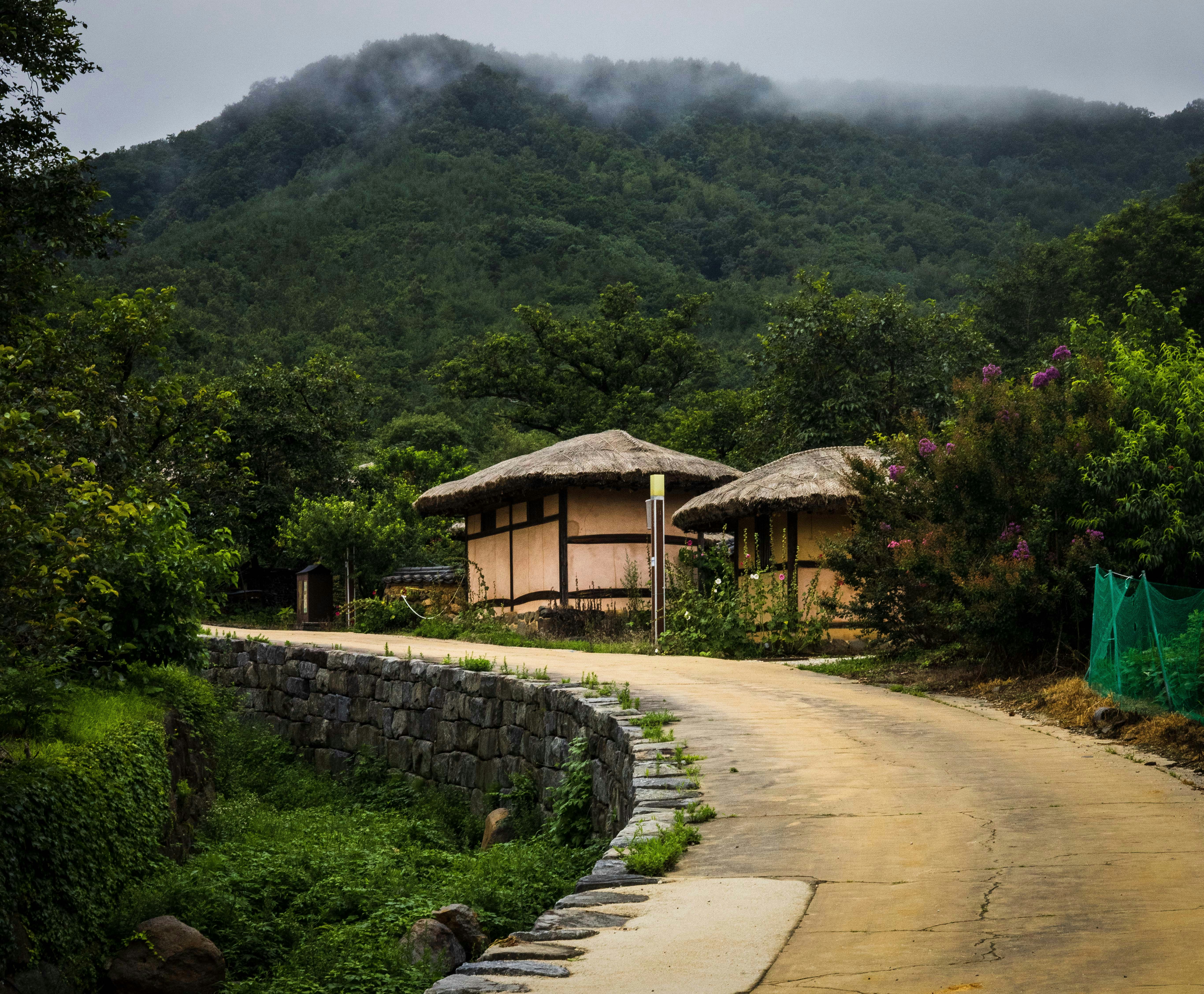 Photo by photosofkorea