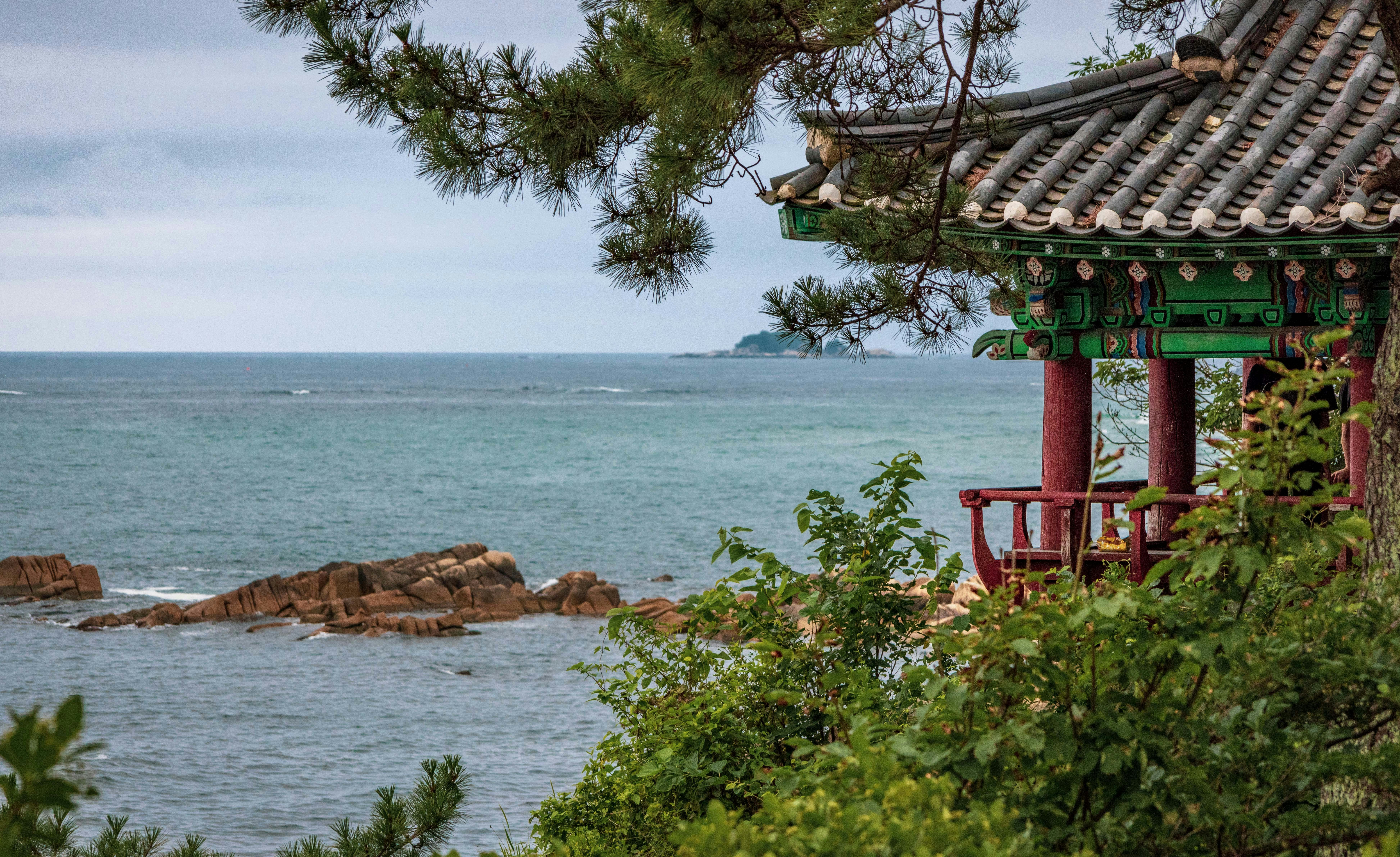 Photo by photosofkorea