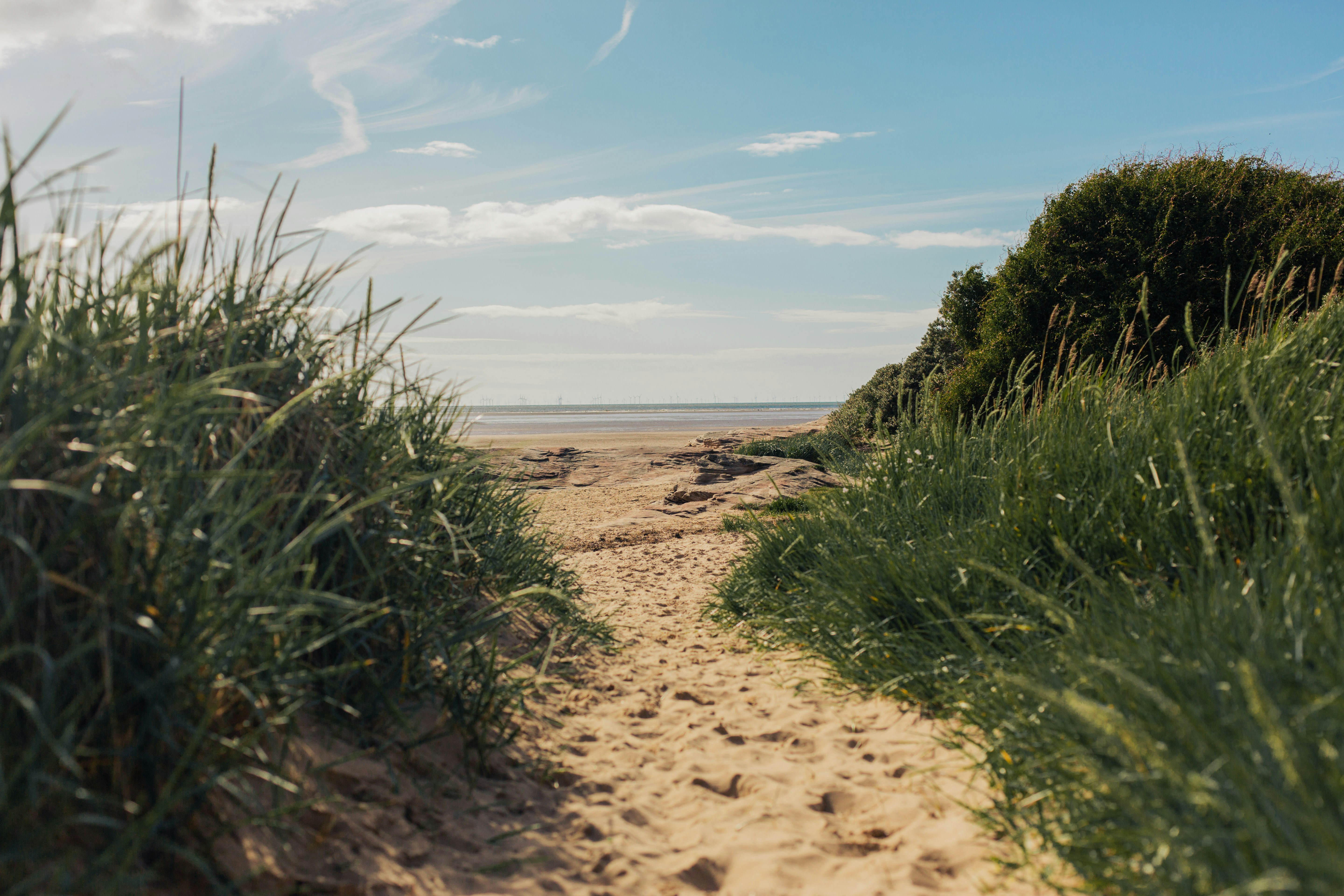 Photo by willkellphoto