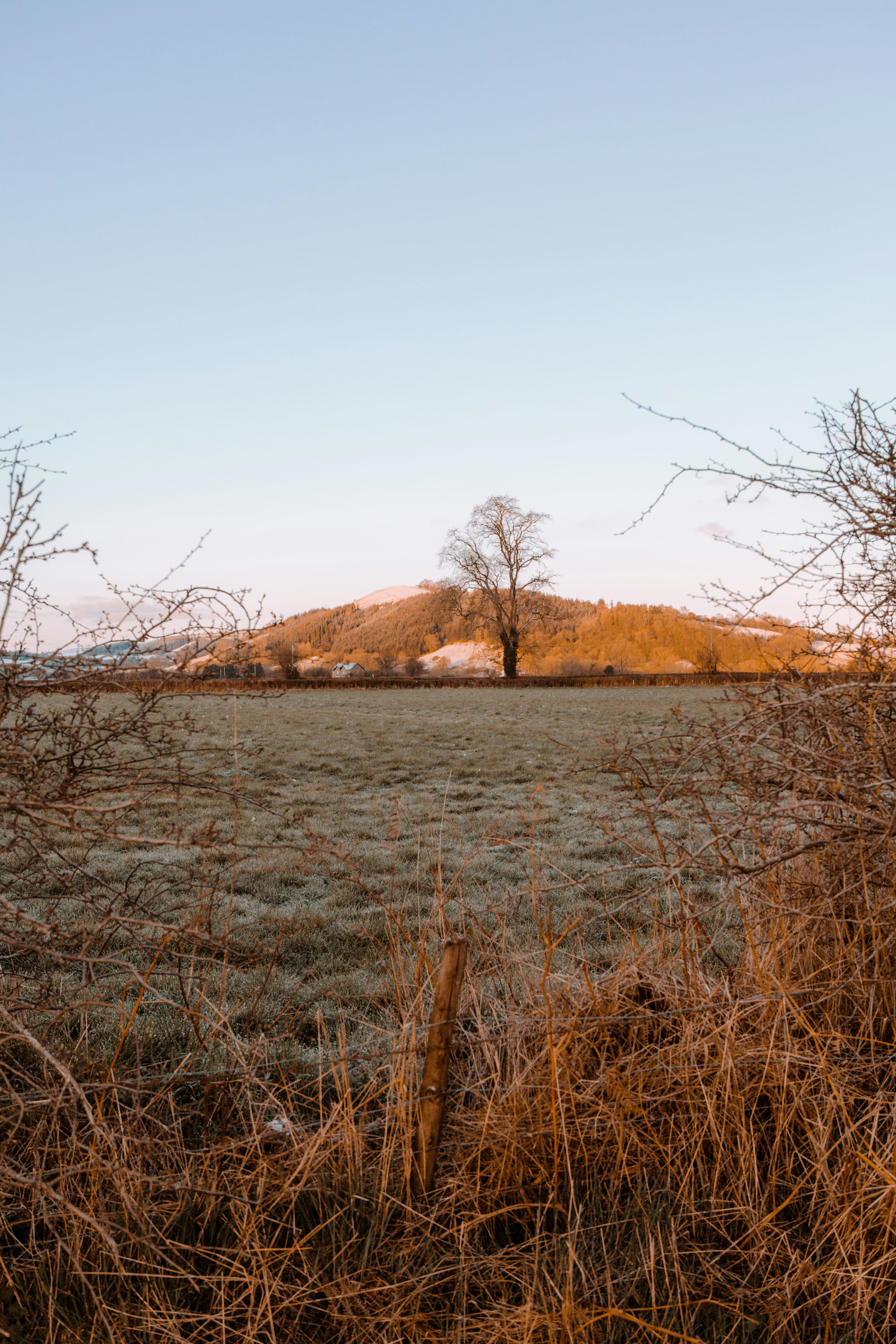 Photo by willkellphoto