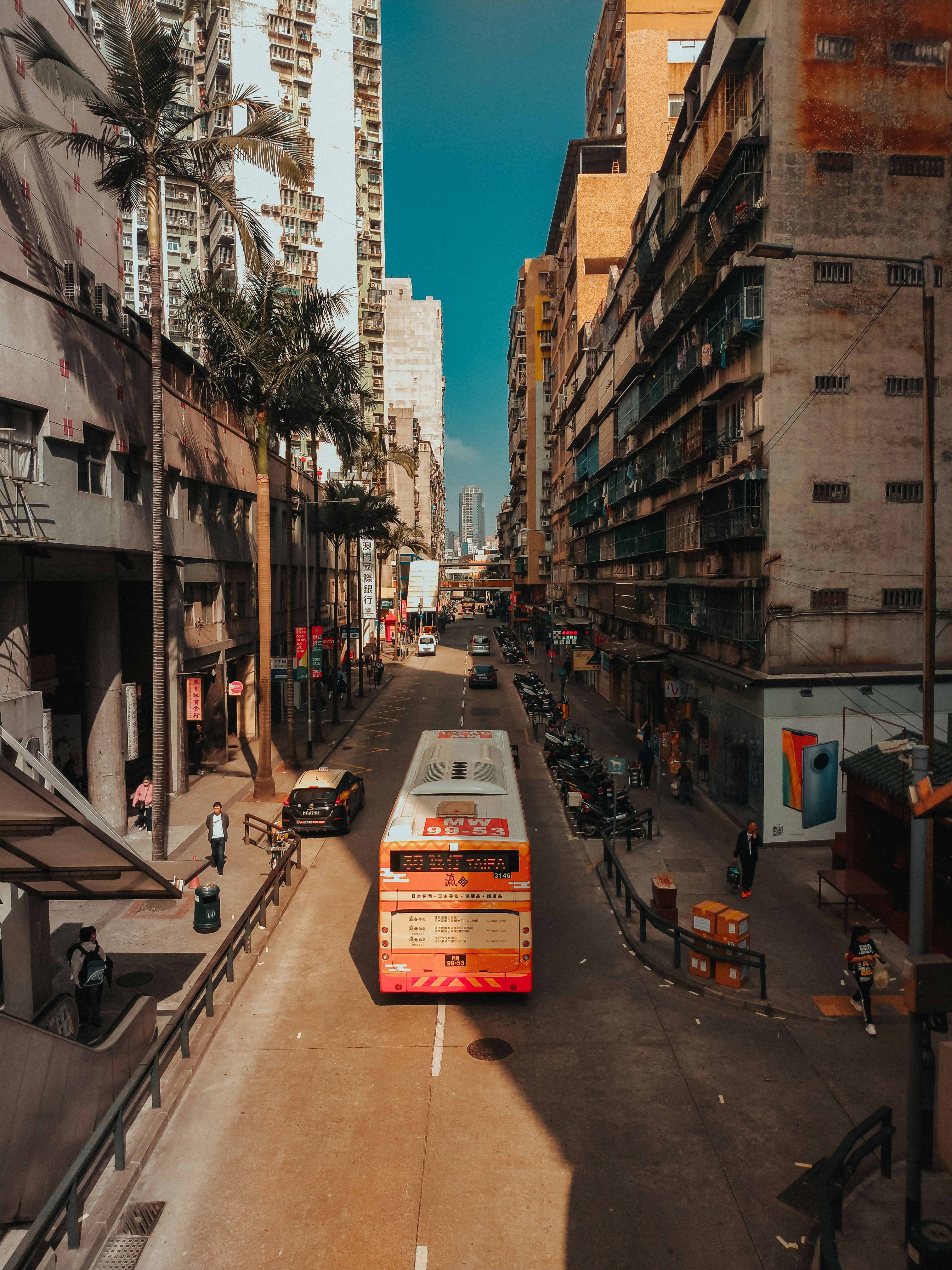 Photo by journeyofdavid