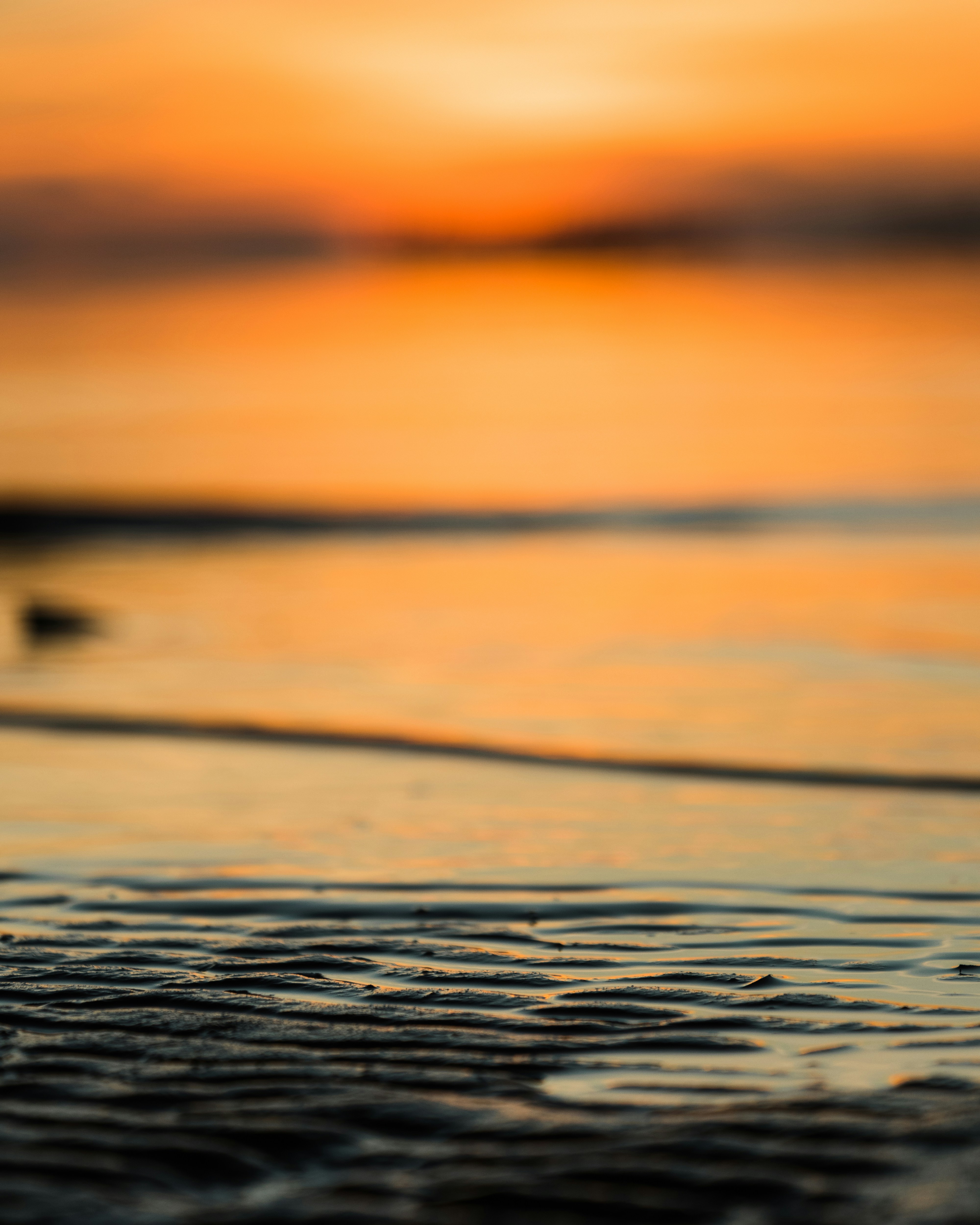 Photo by journeyofdavid