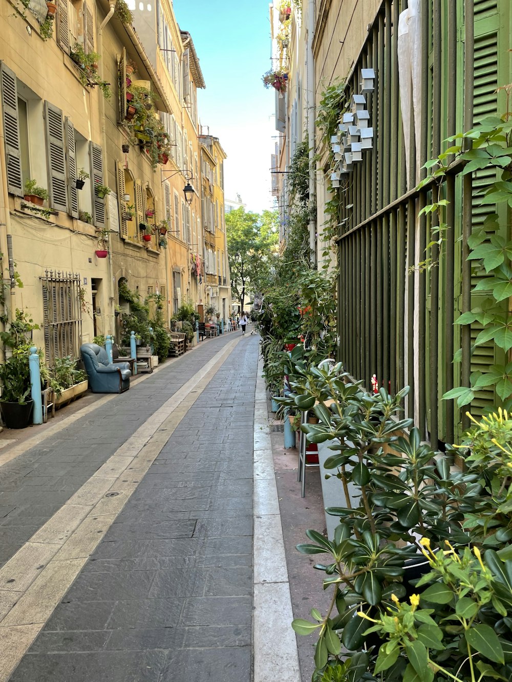 a street with buildings and plants on the side