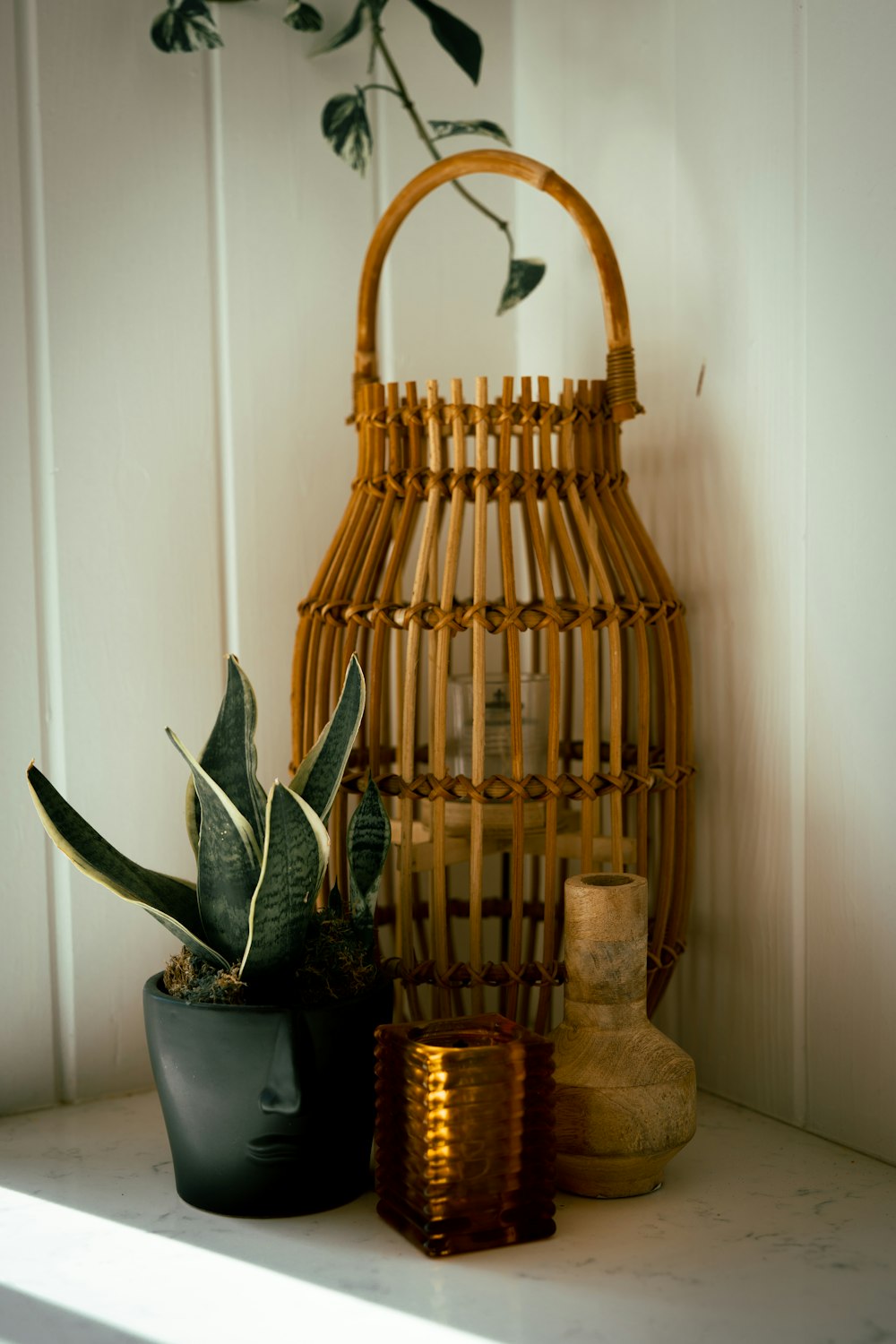 a bird cage with a plant in it