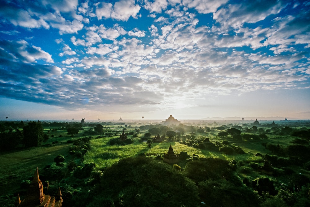 Un paysage arboré et une montagne au loin