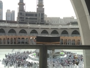 Mystical Healing Herb Collection