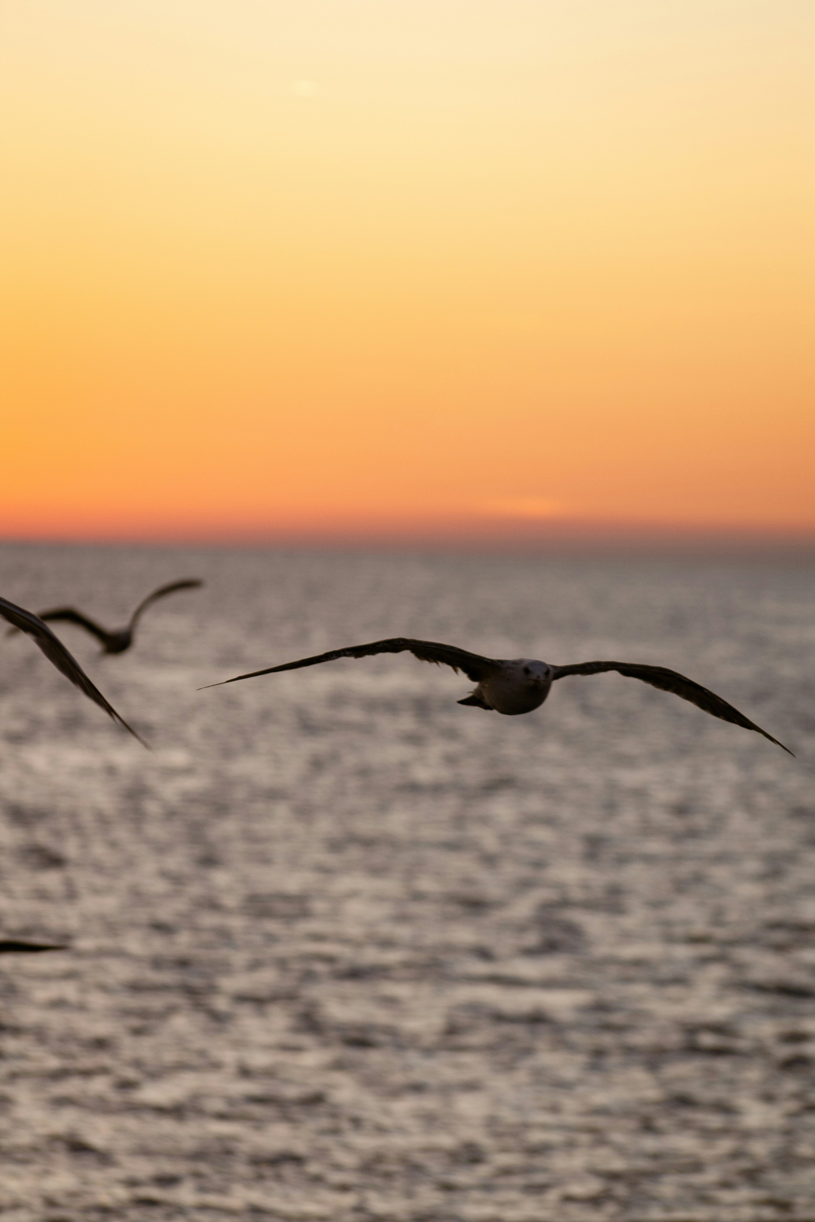 Photo by nierosamuele