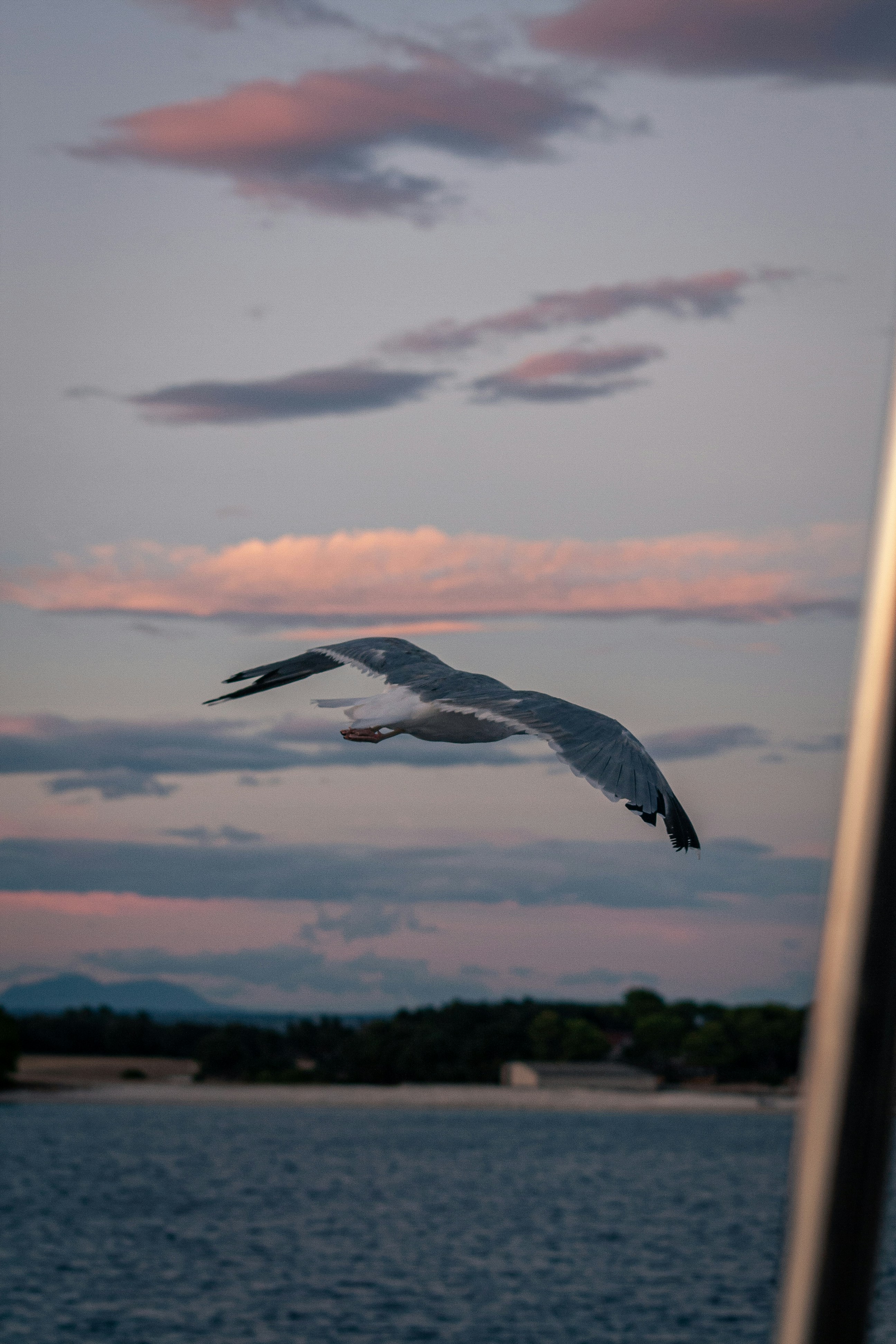 Photo by nierosamuele
