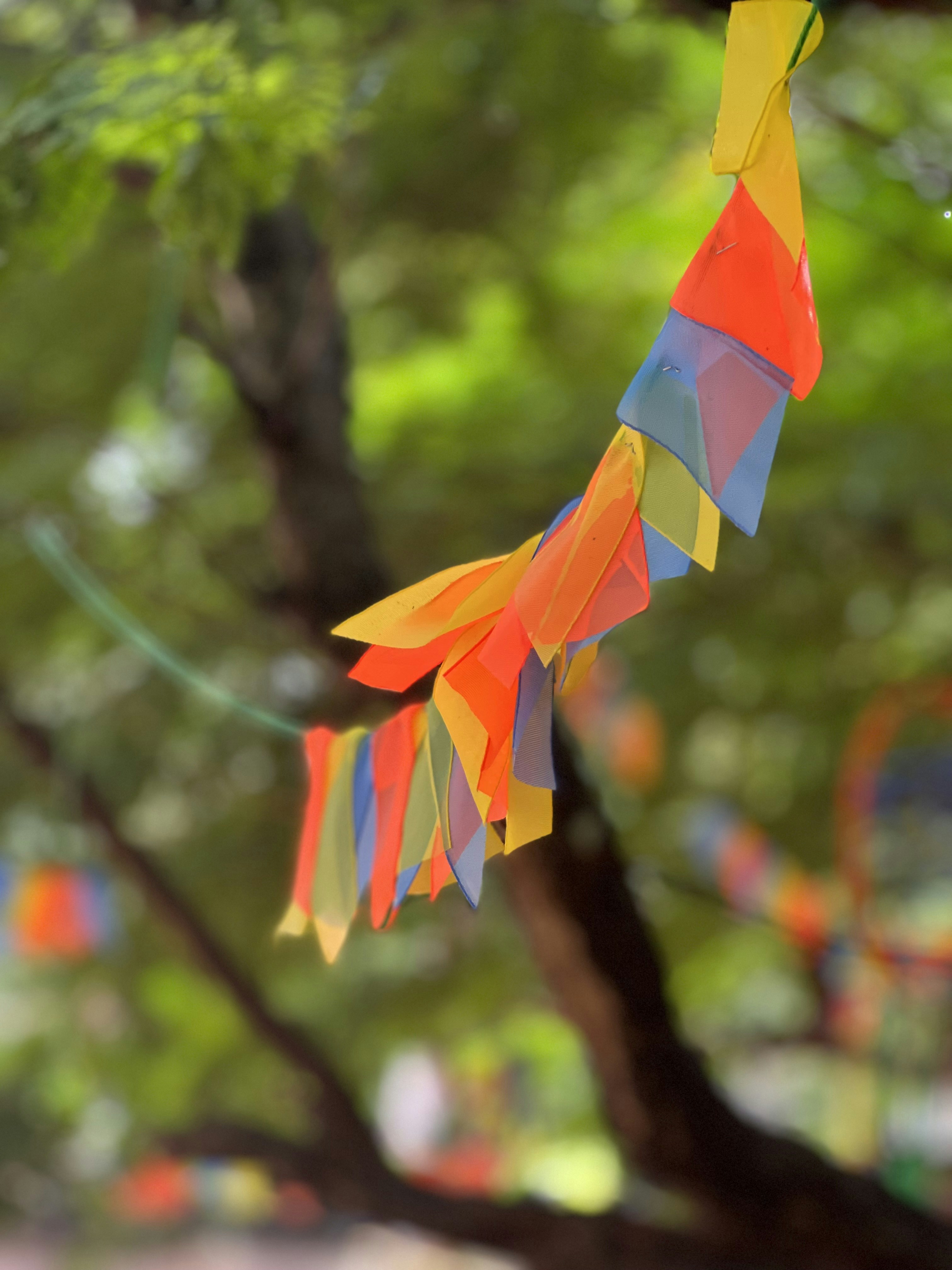 Photo by anandviswanath