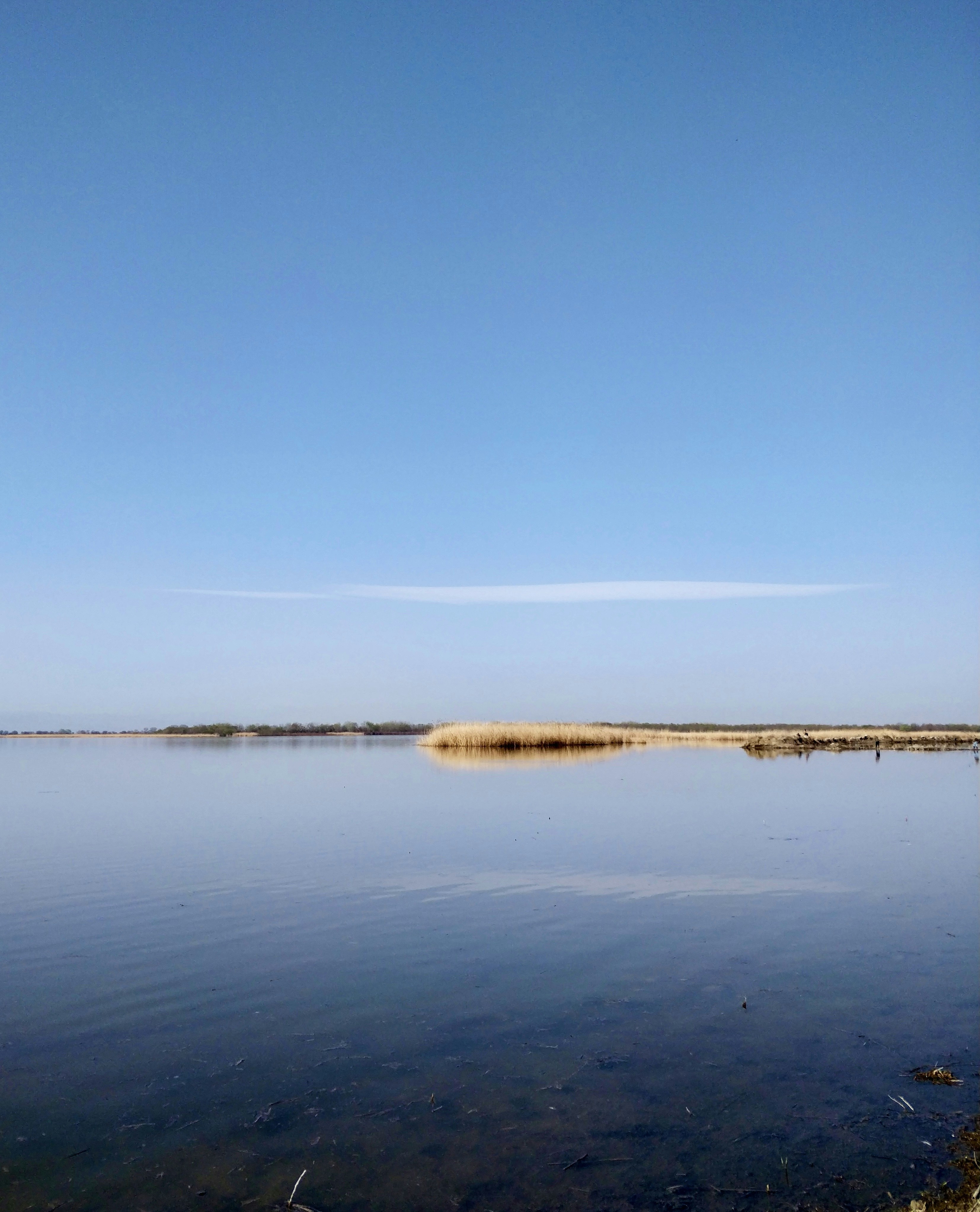 Photo by yashmetkari