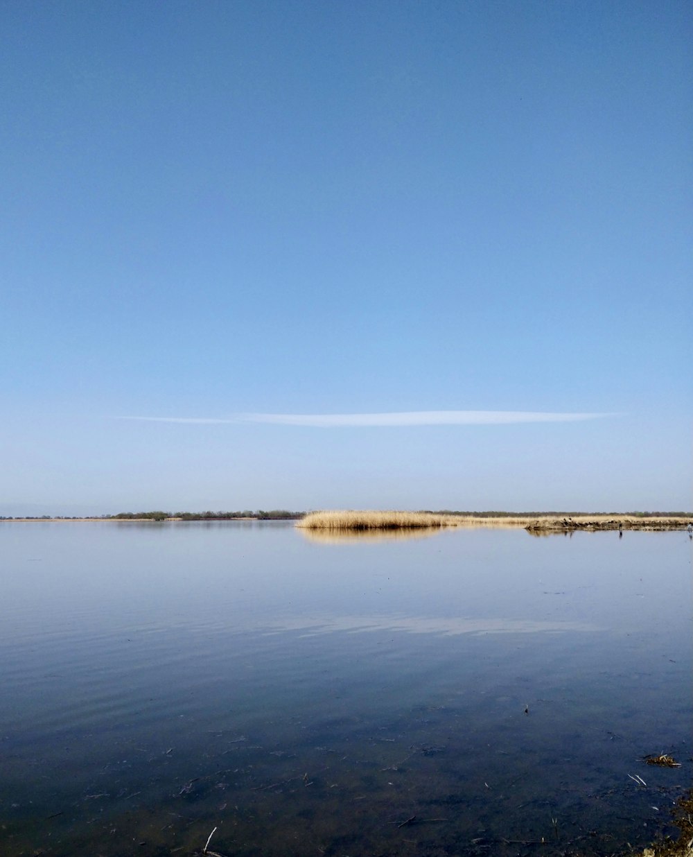 a body of water with land in the distance