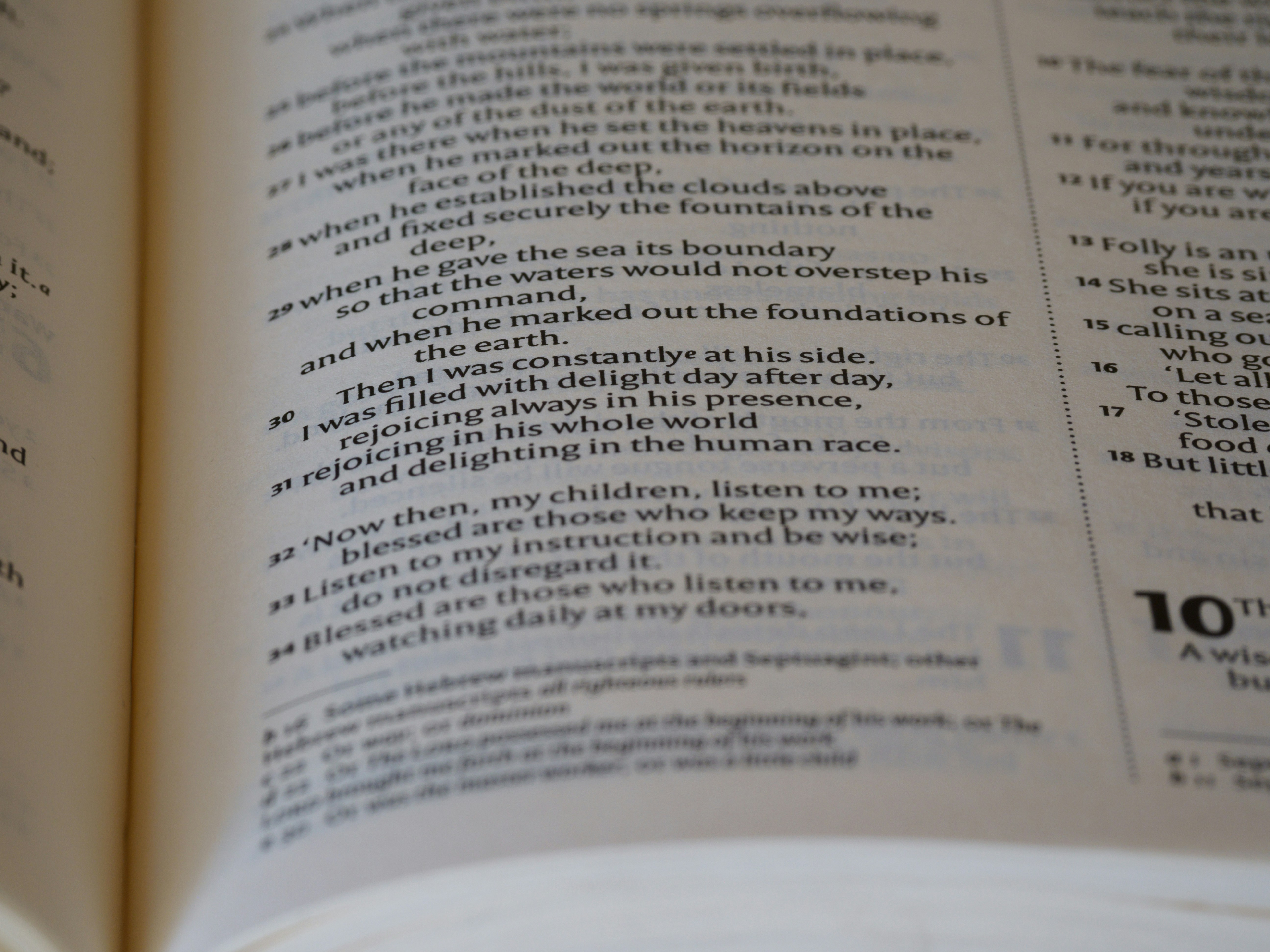 Photo by brett_jordan