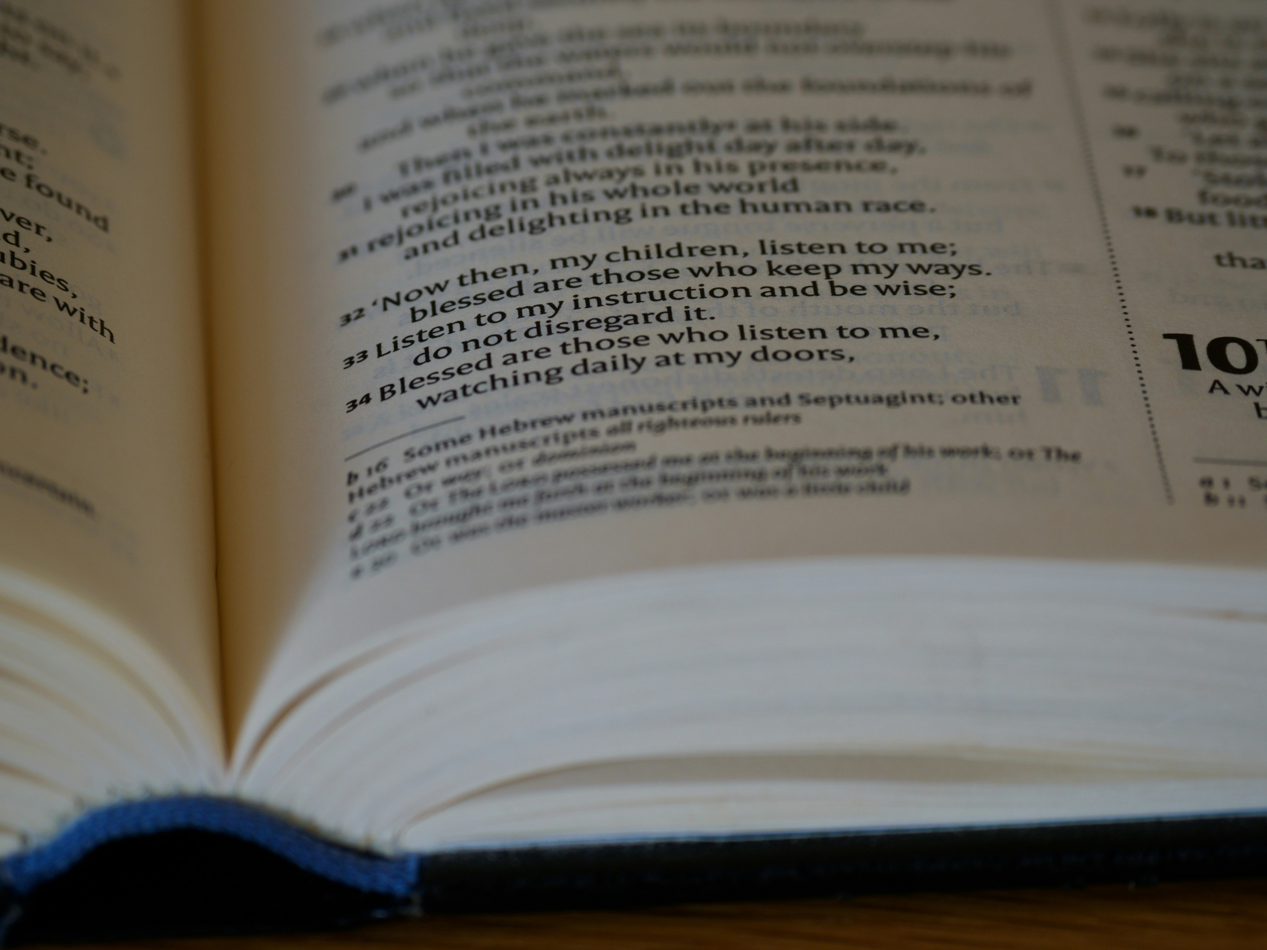 Photo by brett_jordan