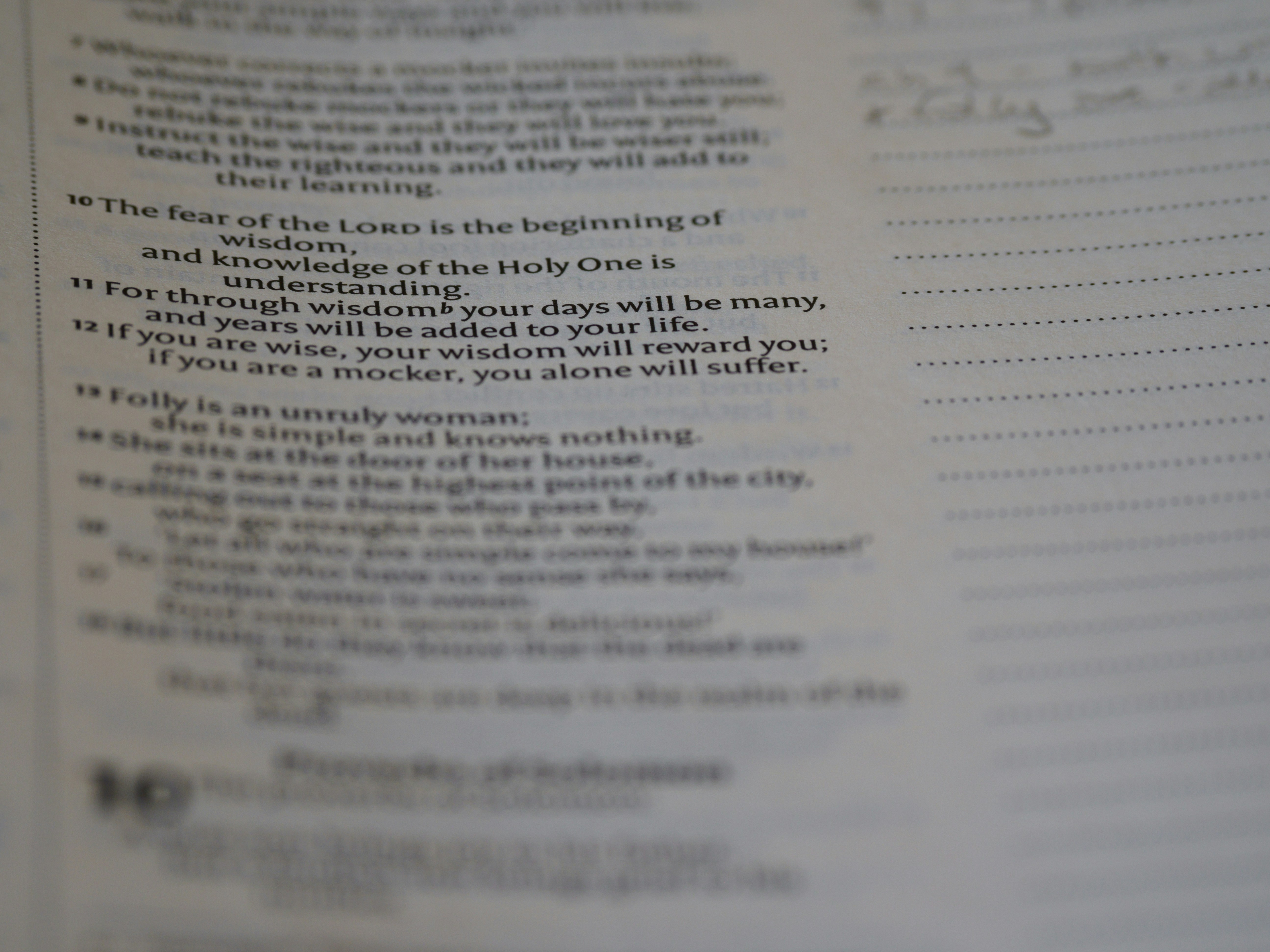 Photo by brett_jordan