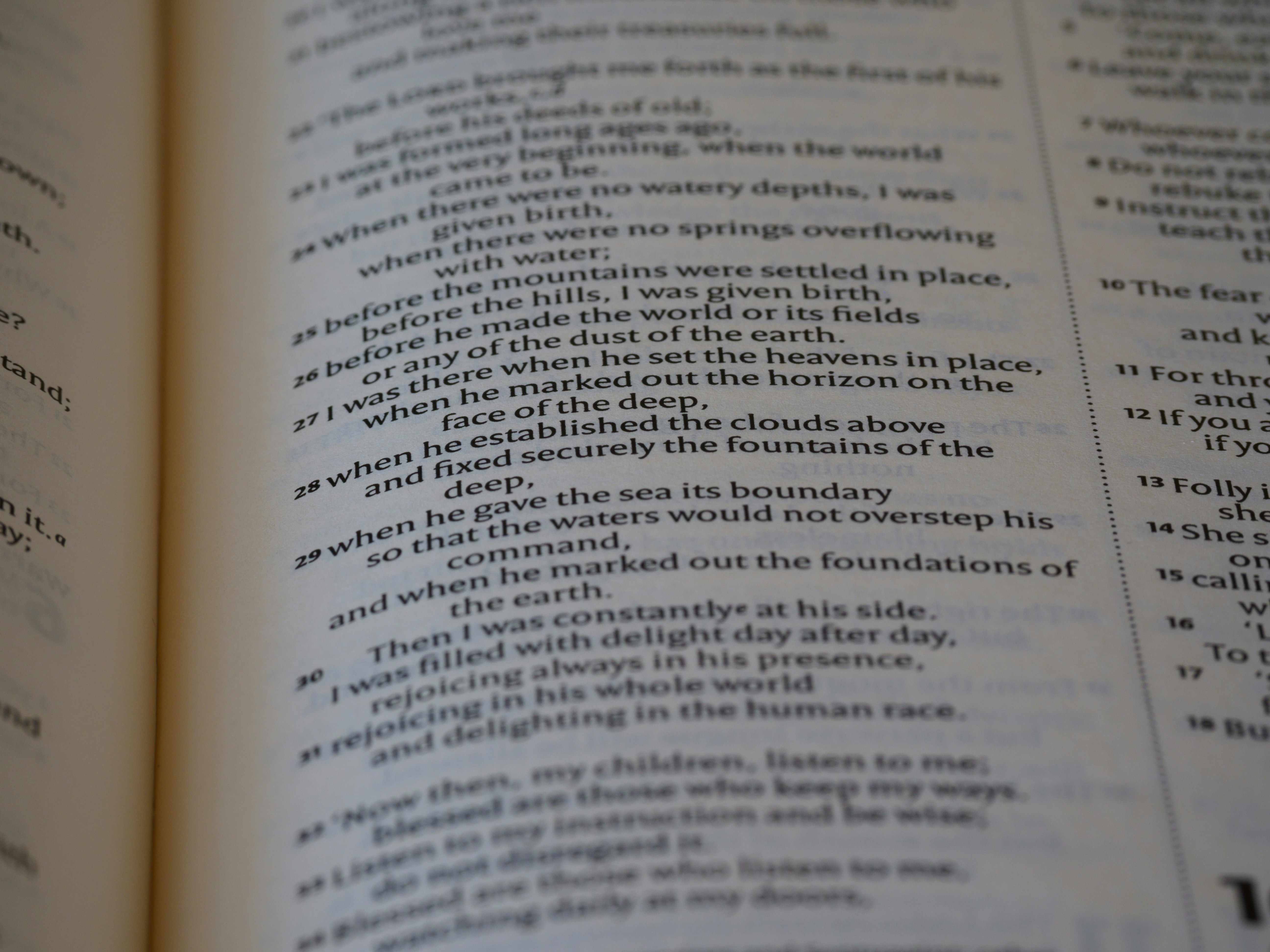 Photo by brett_jordan