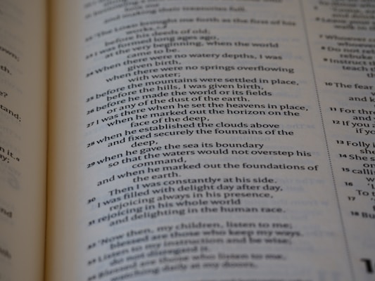 A close-up of a page from a book written in verse format, containing numbered lines of text. The text is organized in a poetic style, with a clear structure and alignment.