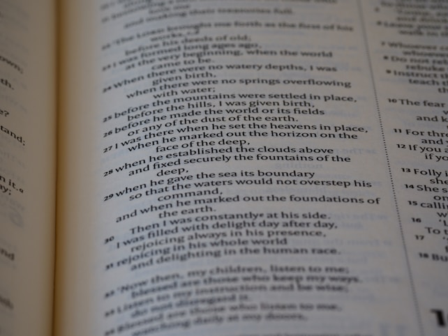 A close-up of a page from a book written in verse format, containing numbered lines of text. The text is organized in a poetic style, with a clear structure and alignment.