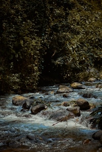 High-resolution image of a pristine natural spring flowing into a clear pool surrounded by lush greenery, symbolizing purity and sustainability.