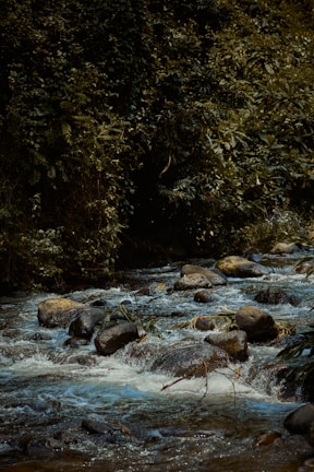 A serene image of flowing water symbolizing spiritual renewal.