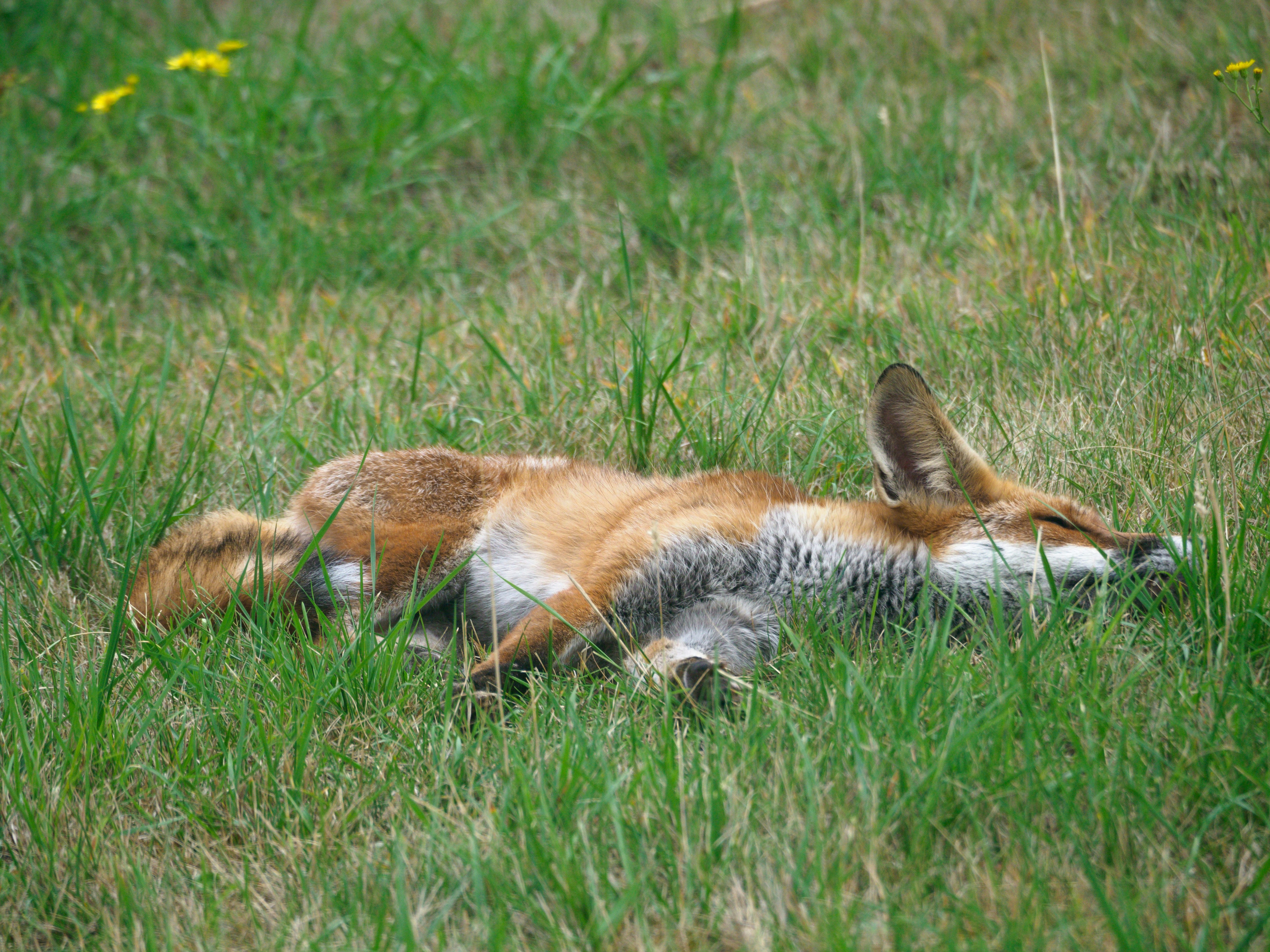 Photo by brett_jordan