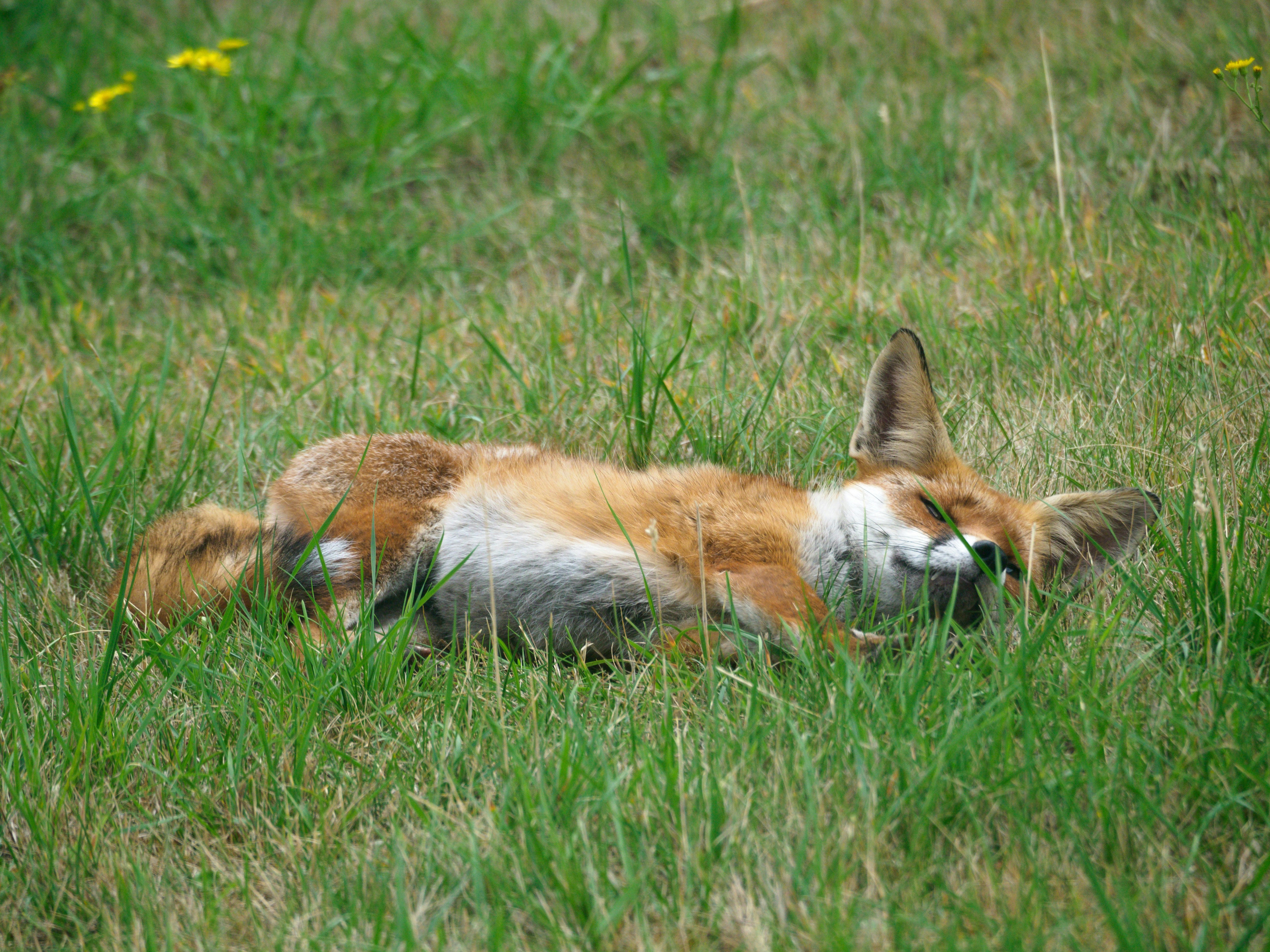 Photo by brett_jordan