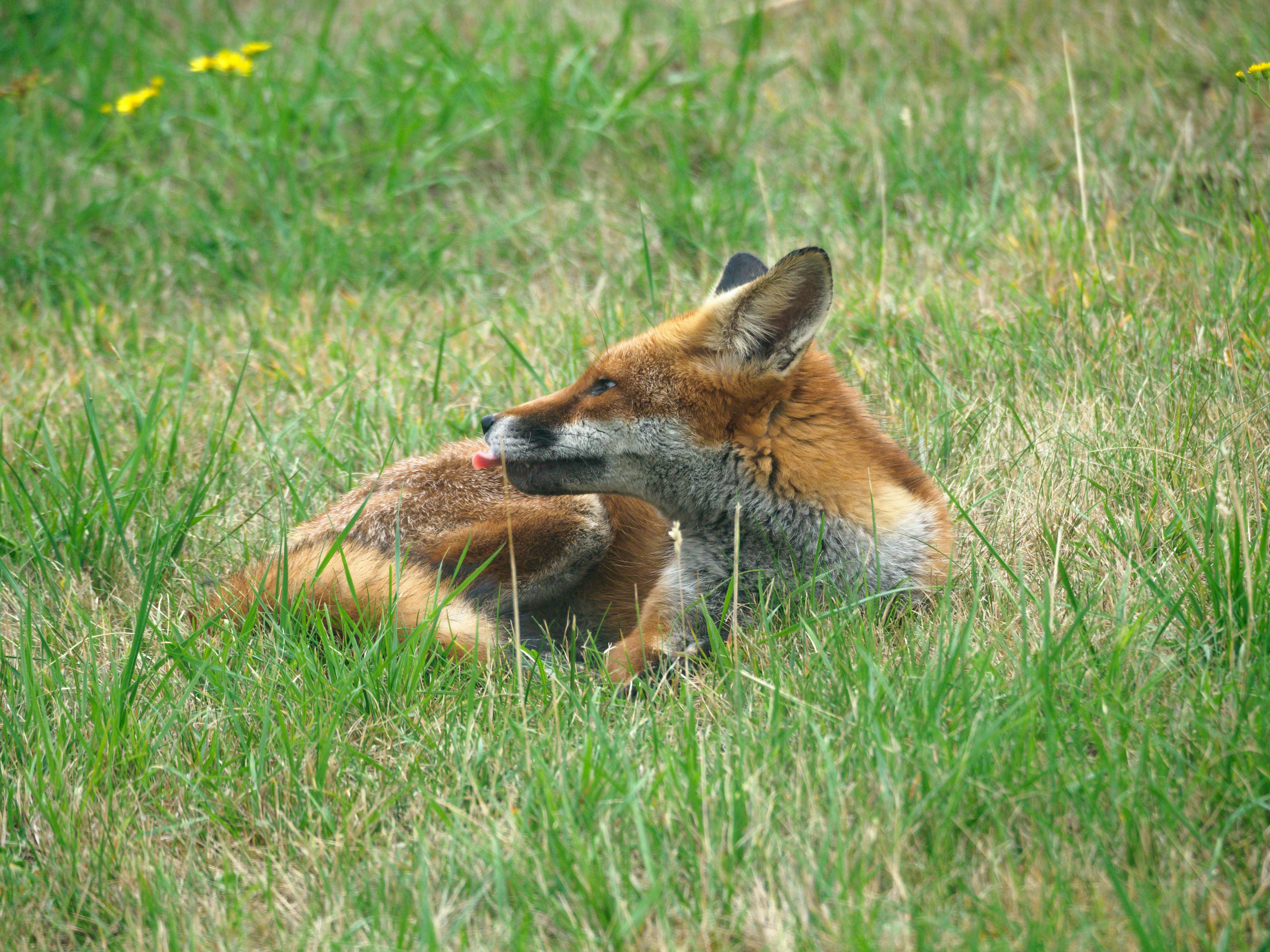 Photo by brett_jordan