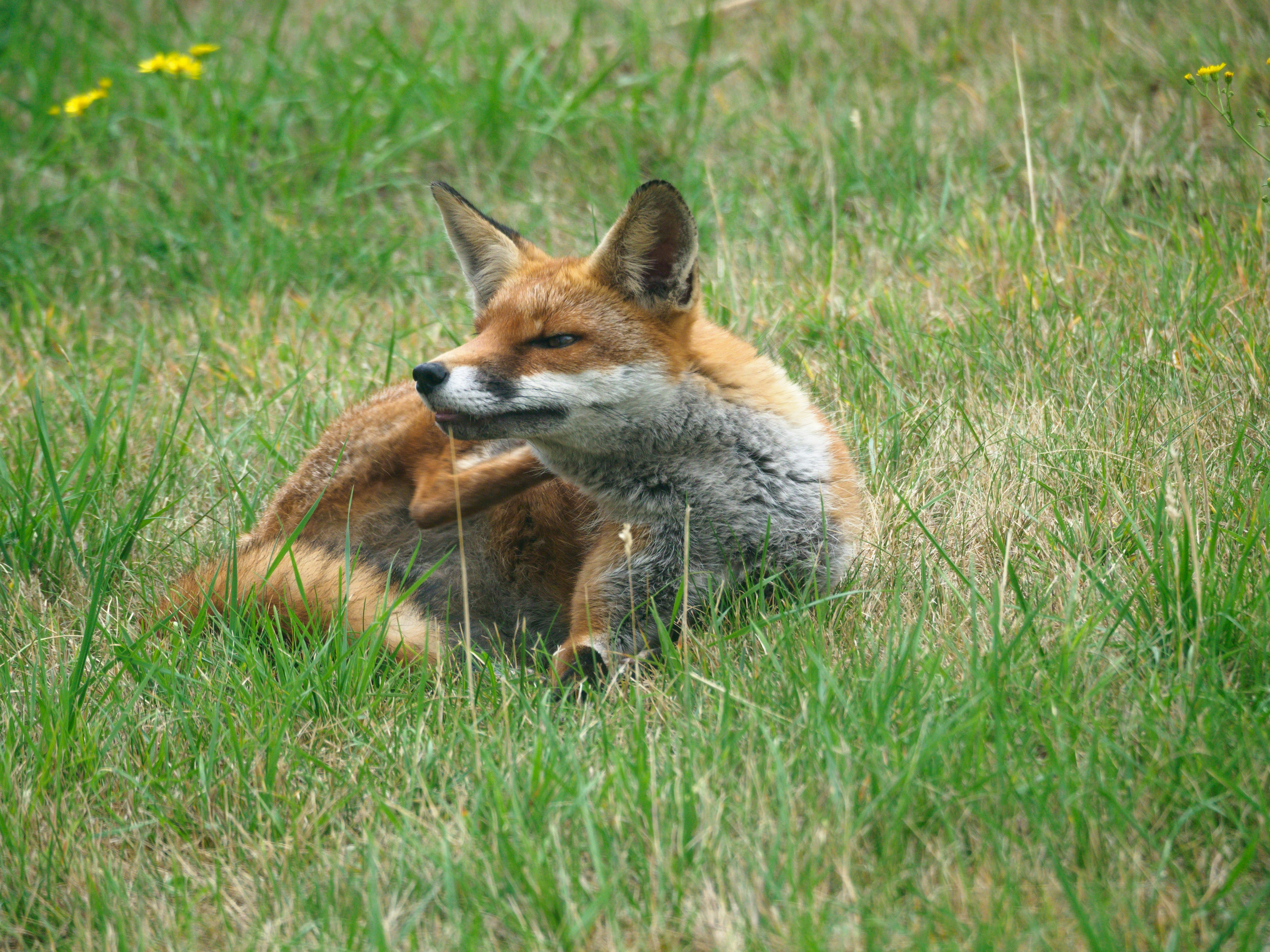 Photo by brett_jordan