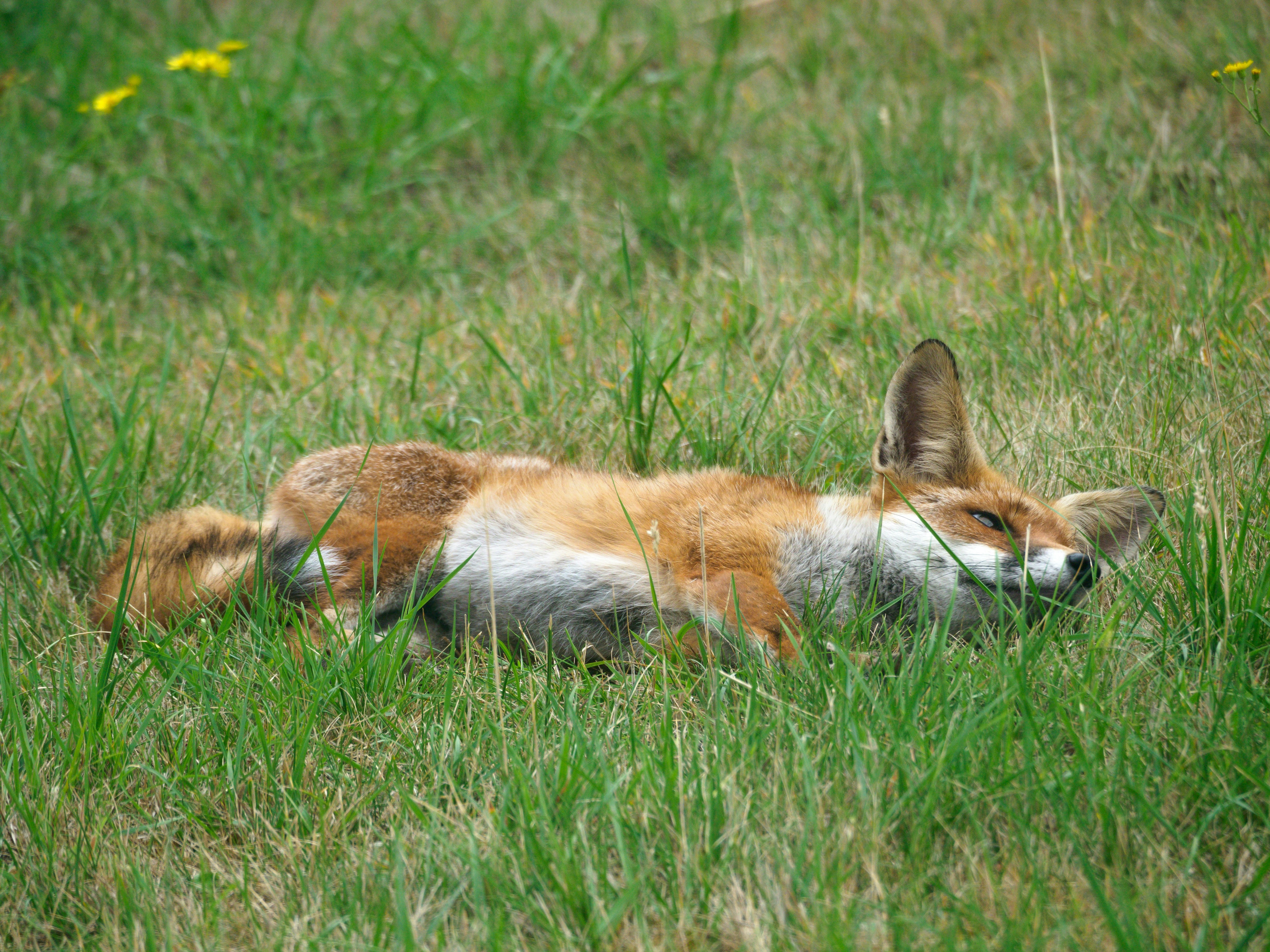 Photo by brett_jordan