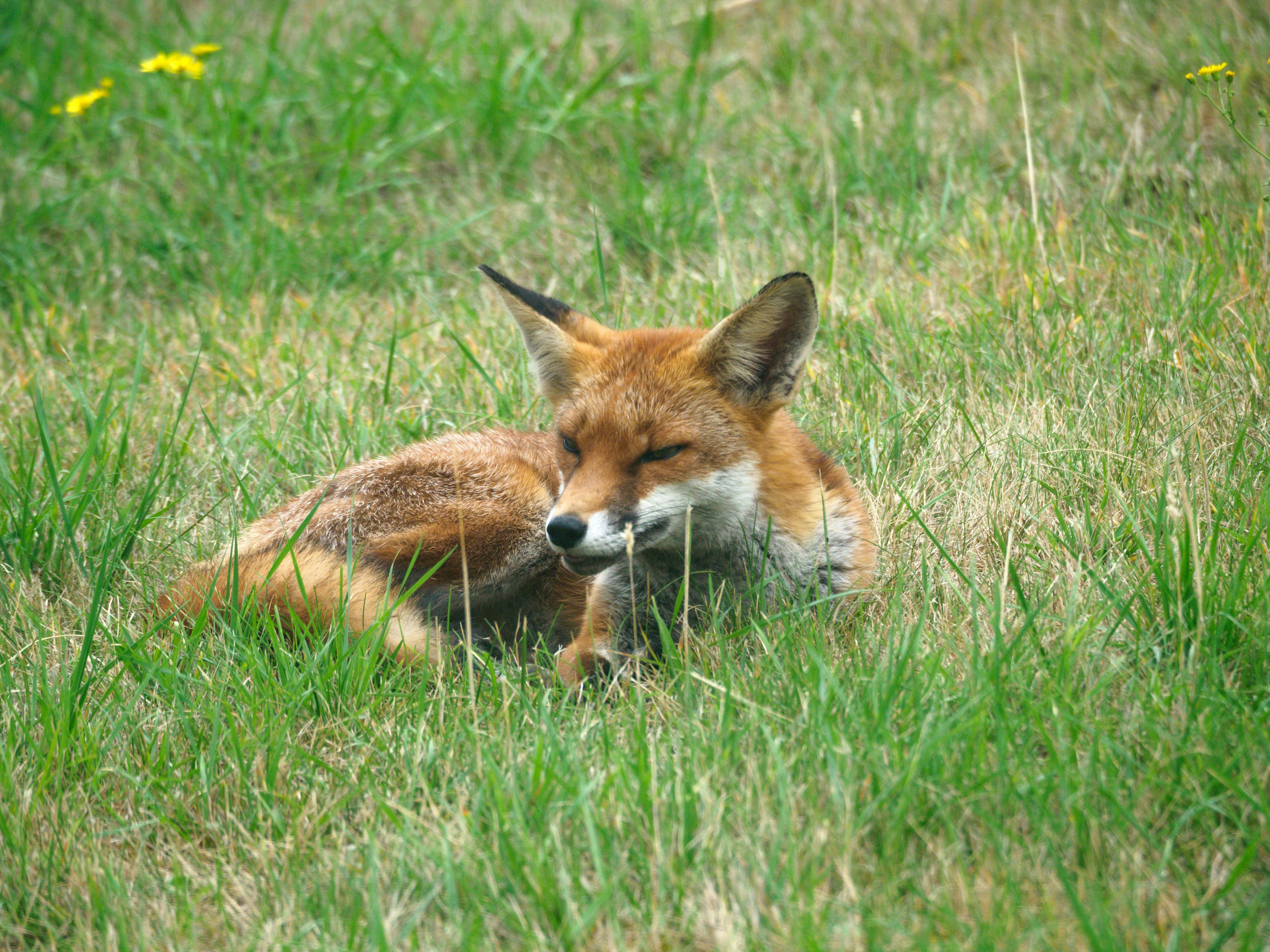 Photo by brett_jordan