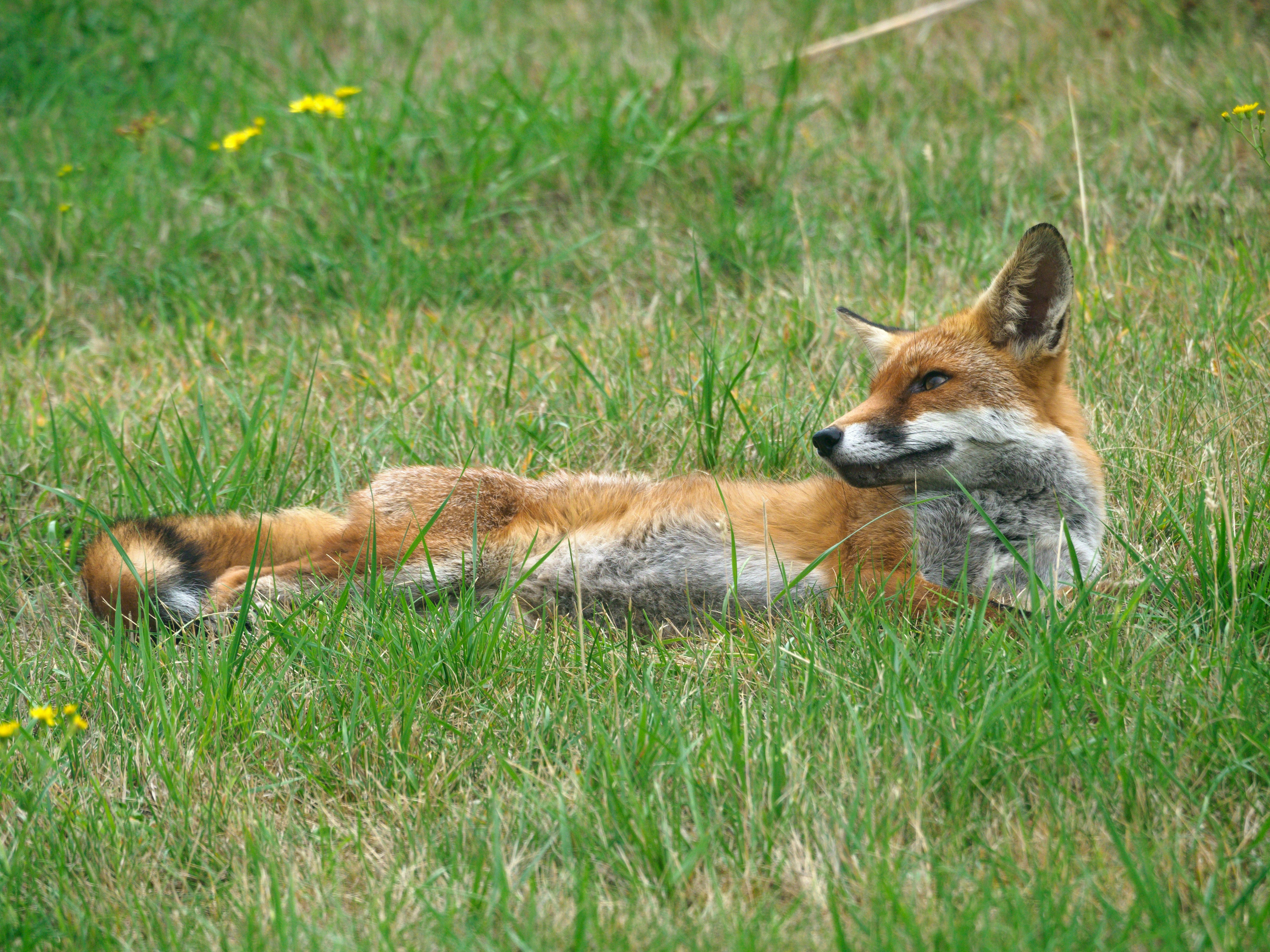 Photo by brett_jordan