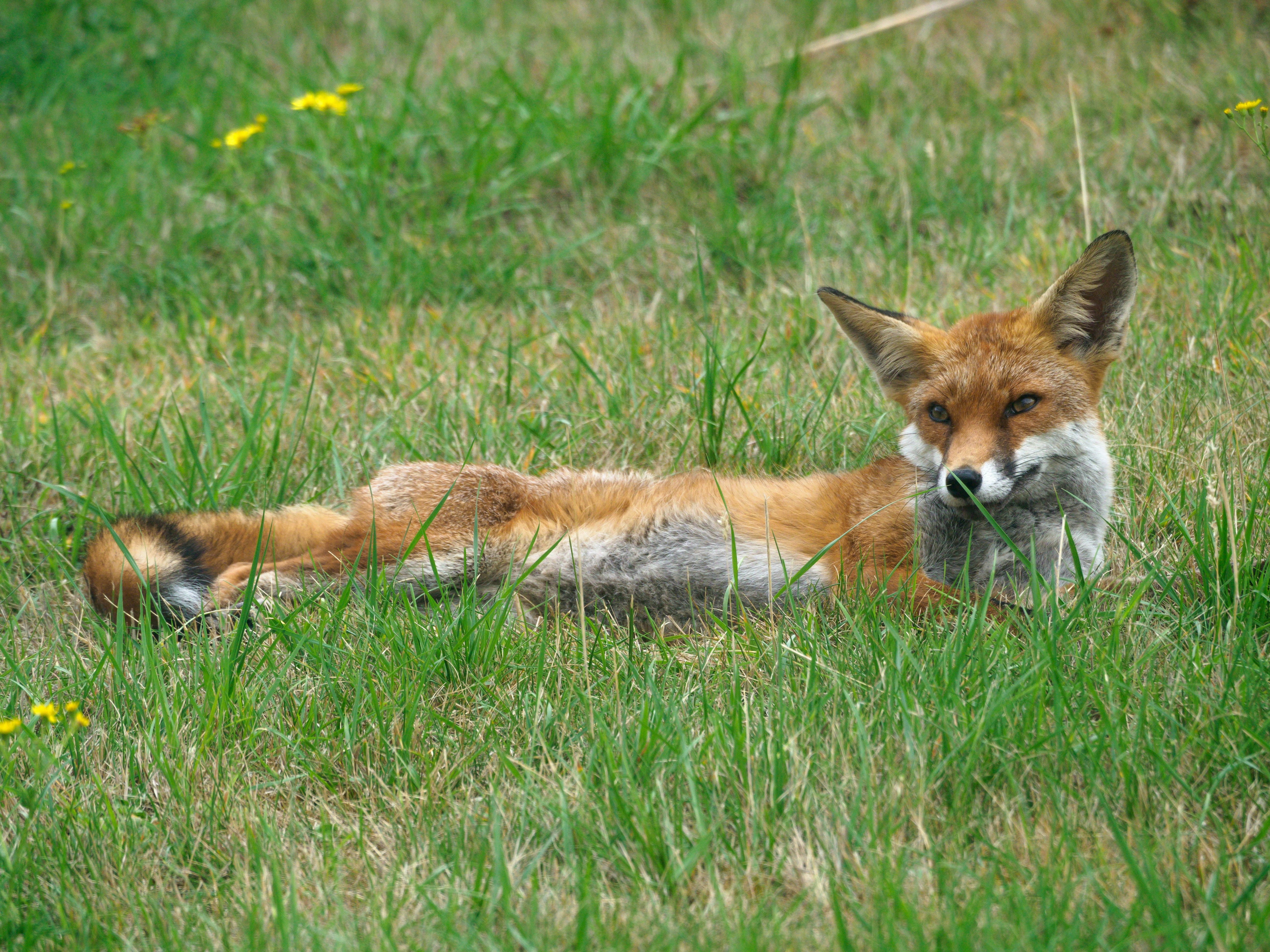 Photo by brett_jordan