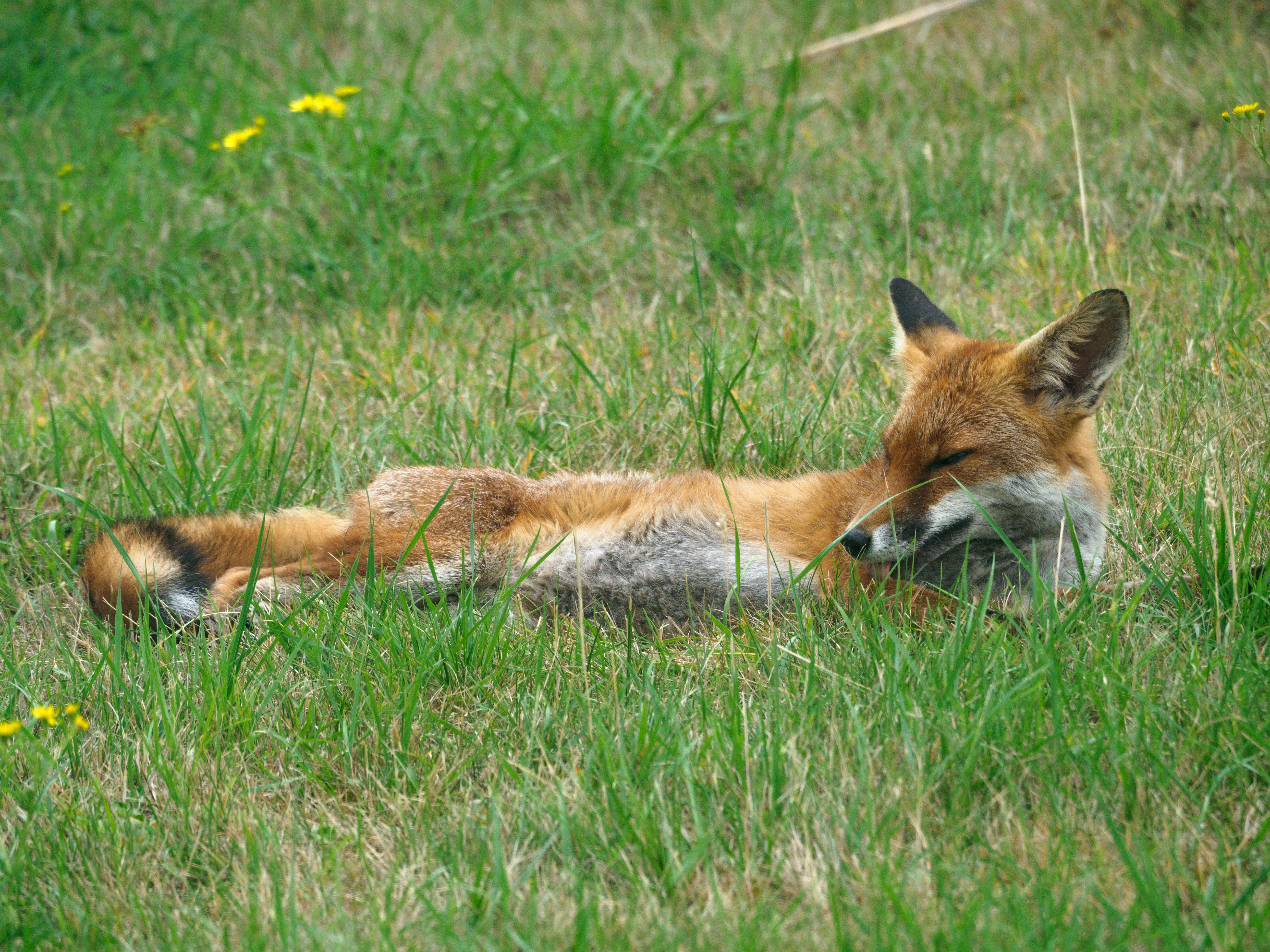 Photo by brett_jordan