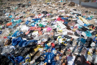 a pile of trash