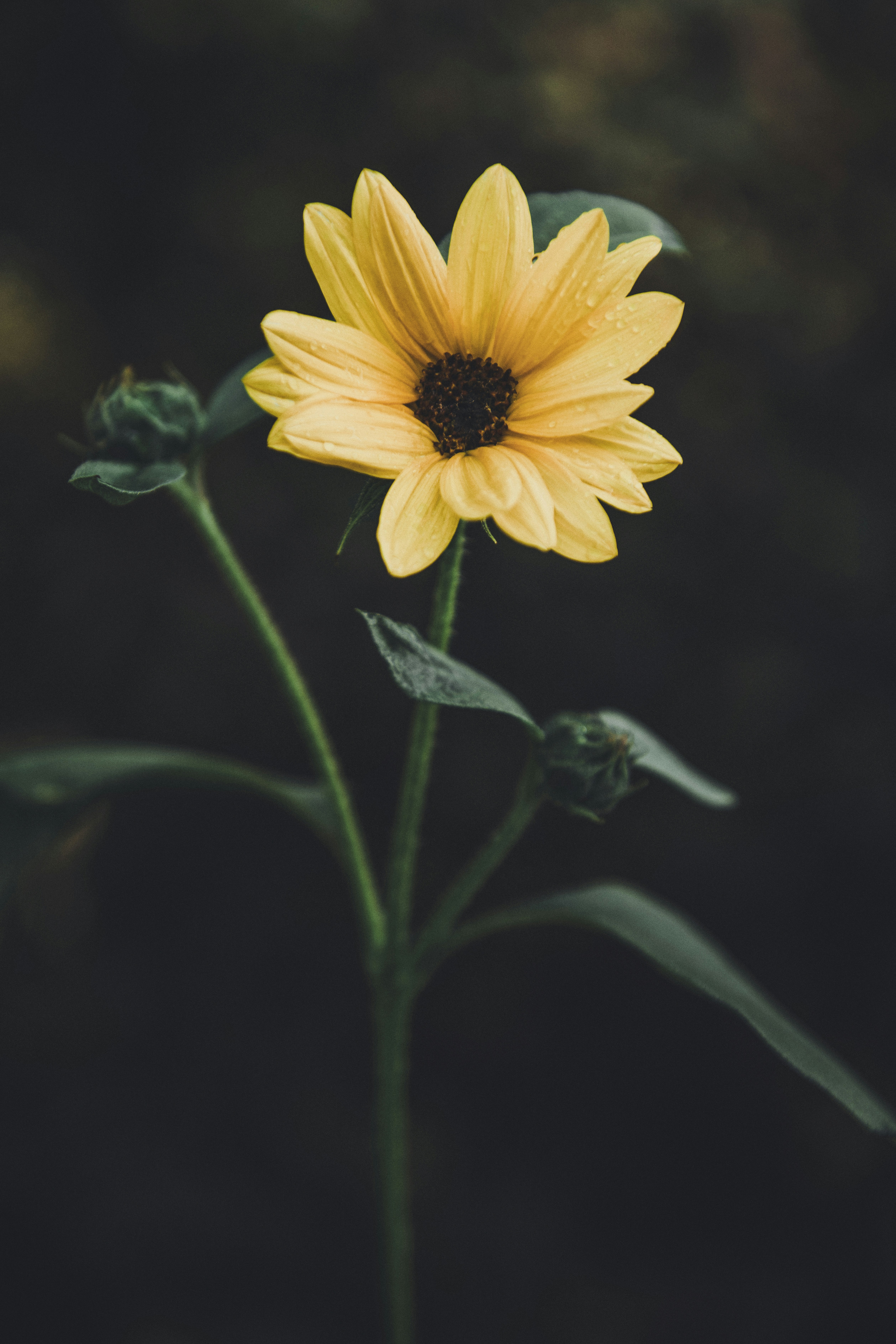 Photo by timmossholder