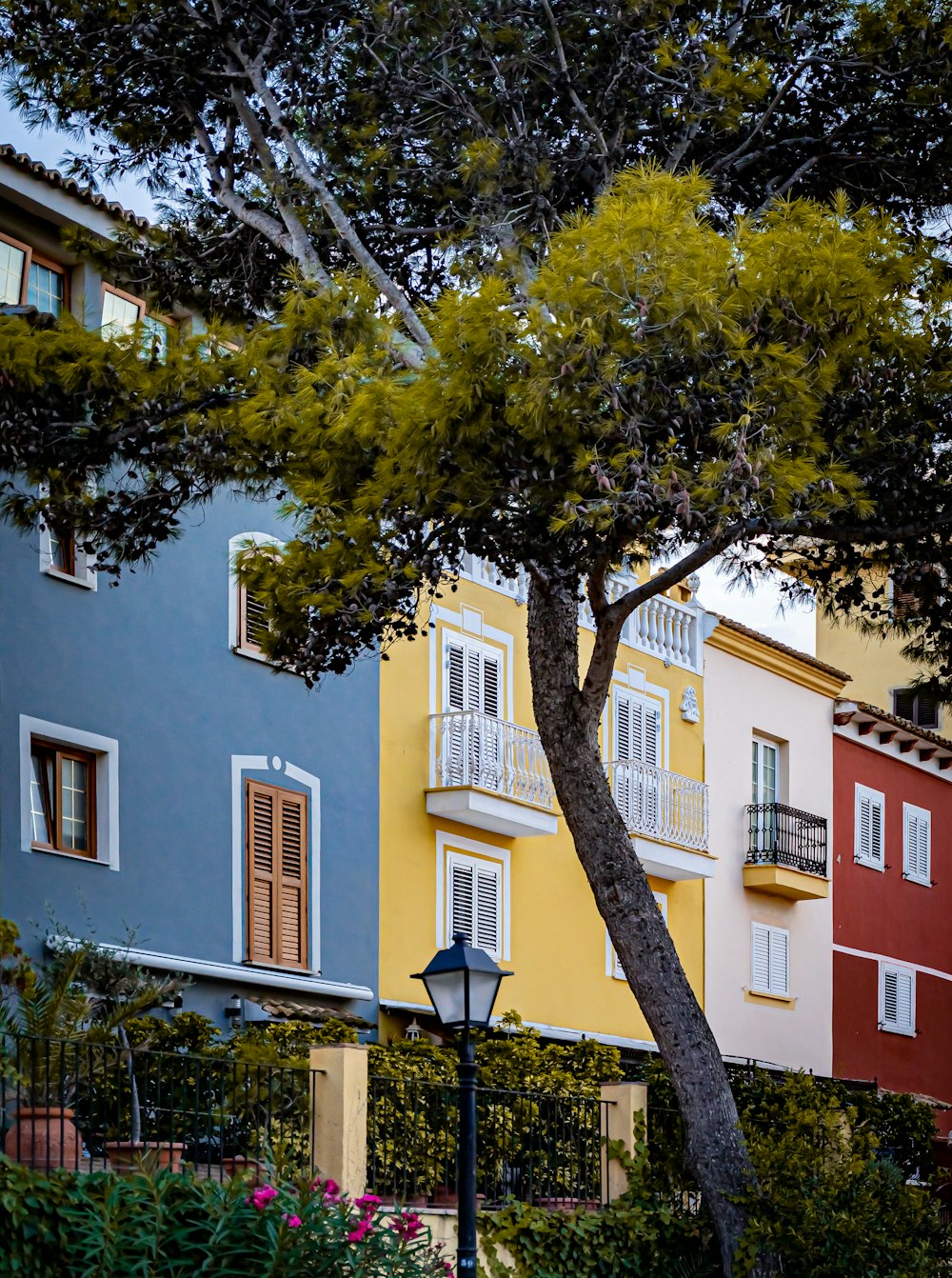 a tree in front of a building