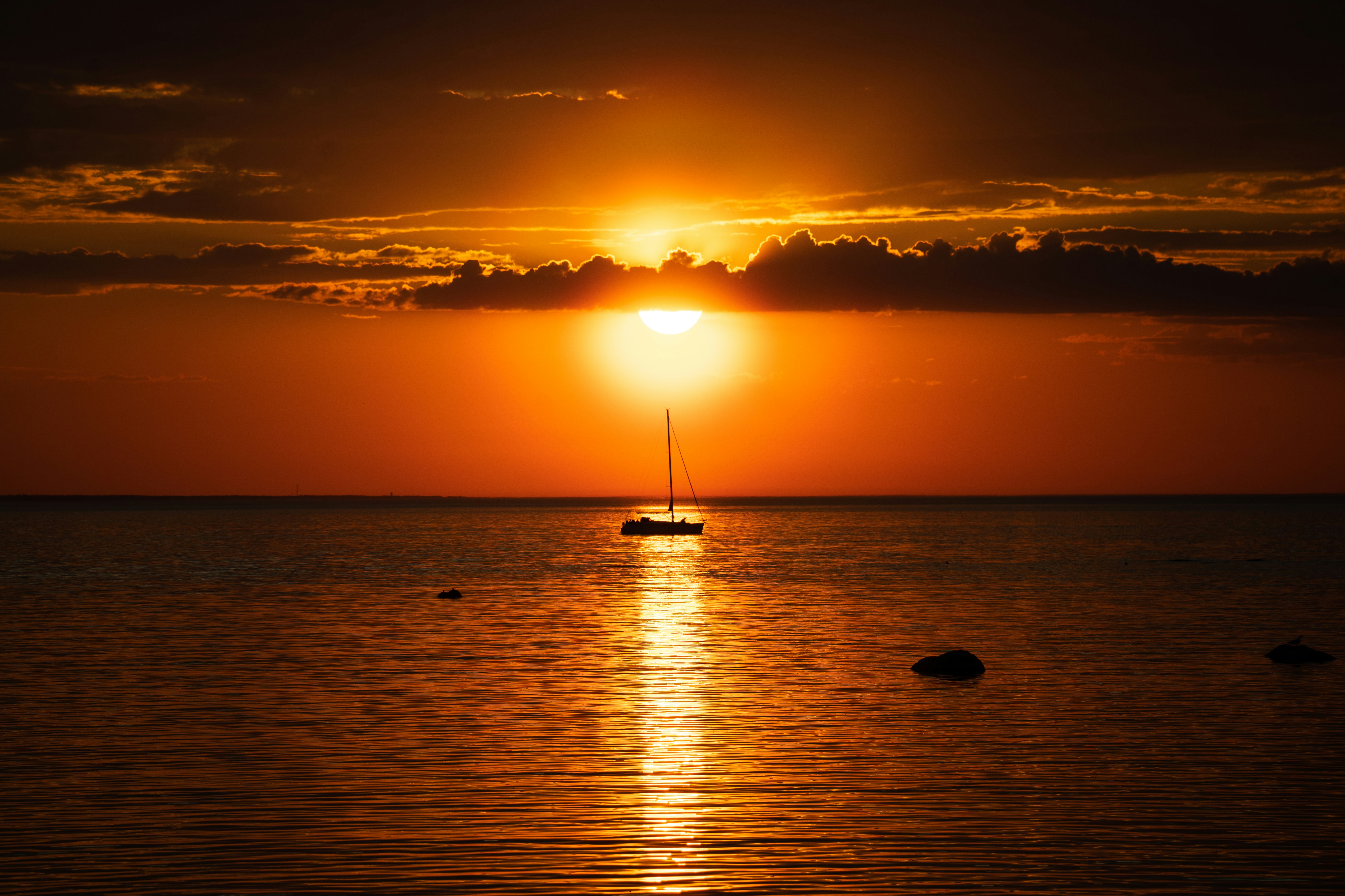 Photo by ayadighaith