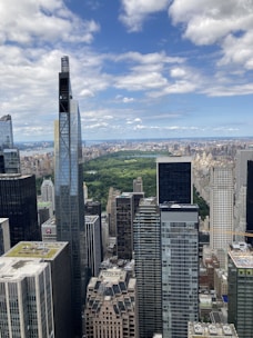 A skyline view of a bustling city with modern buildings and greenery.