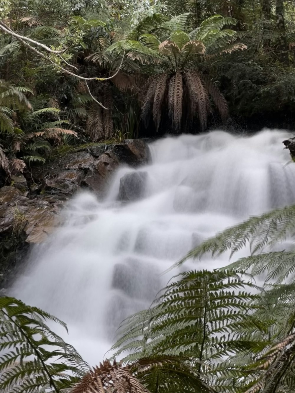 a waterfall in a forest