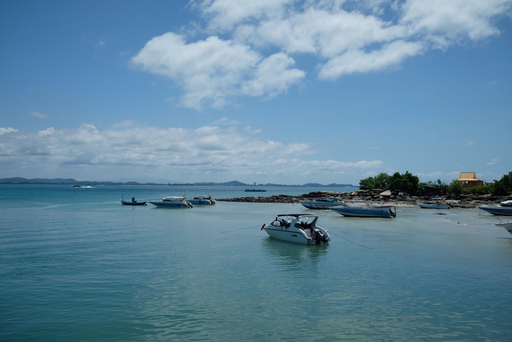 barcos na água