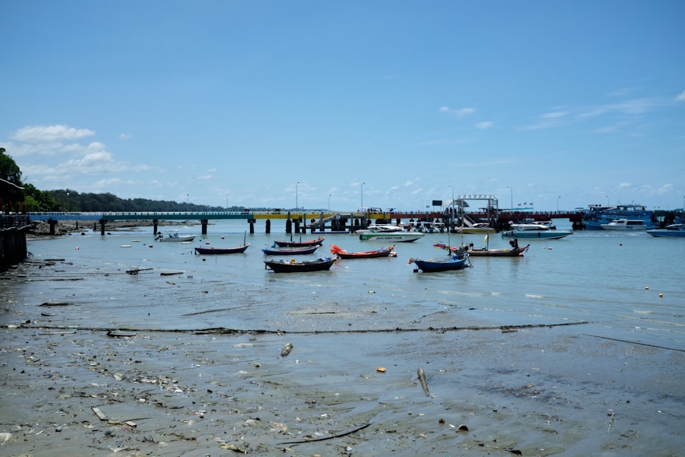 a group of boats sit in a harbor